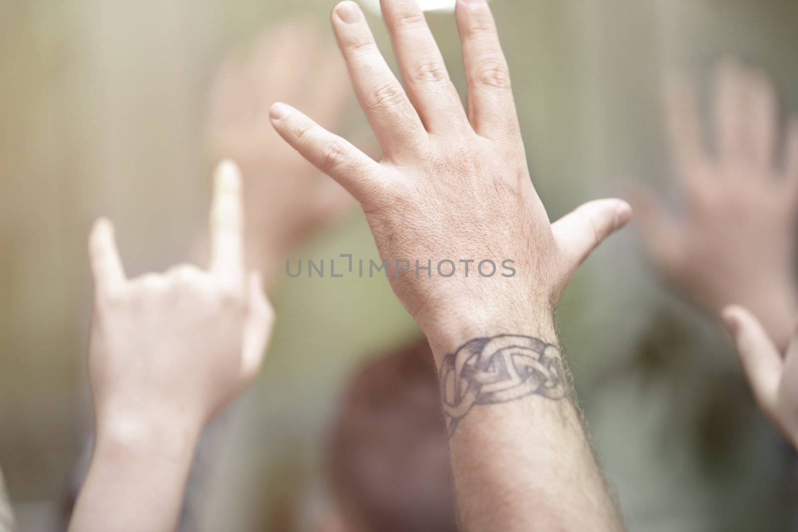 Group of people with hands raised at music festival