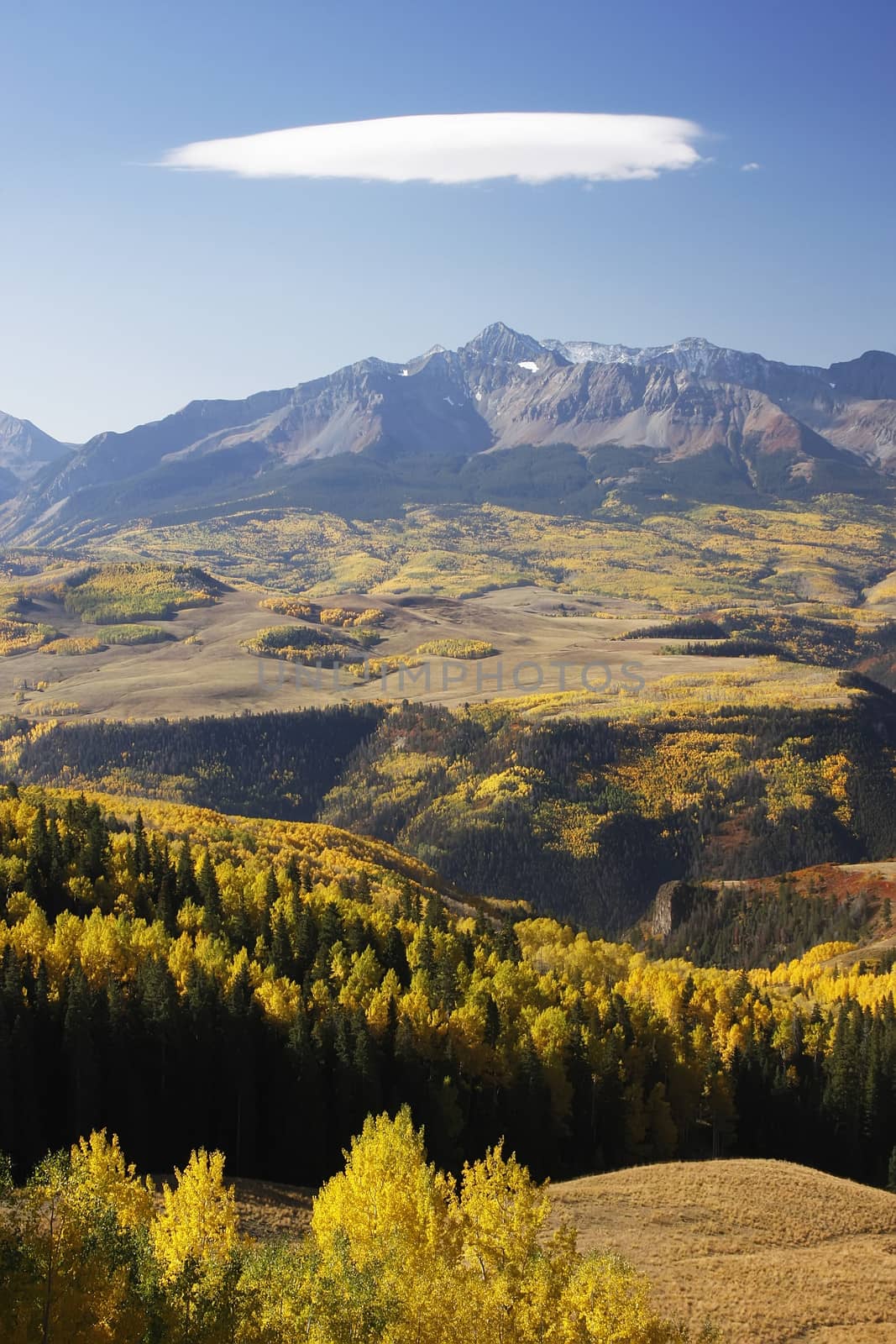 Lizard Head wilderness, Colorado, USA