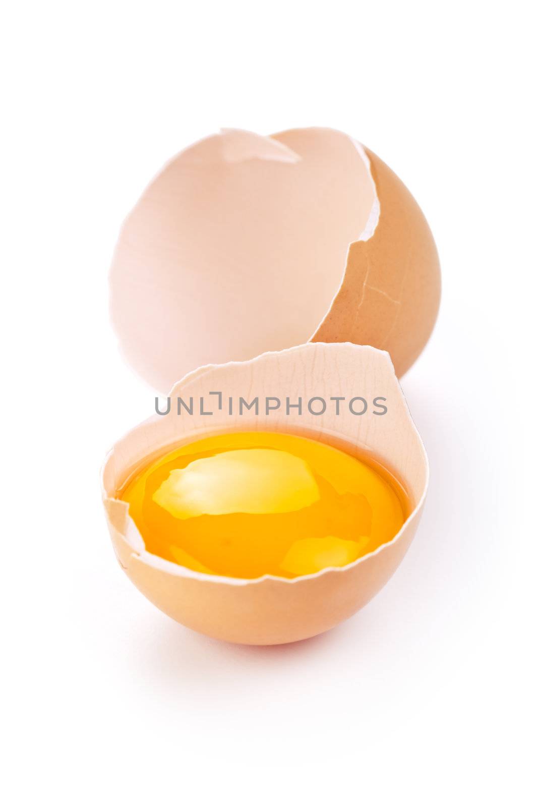 Egg by bozena_fulawka
