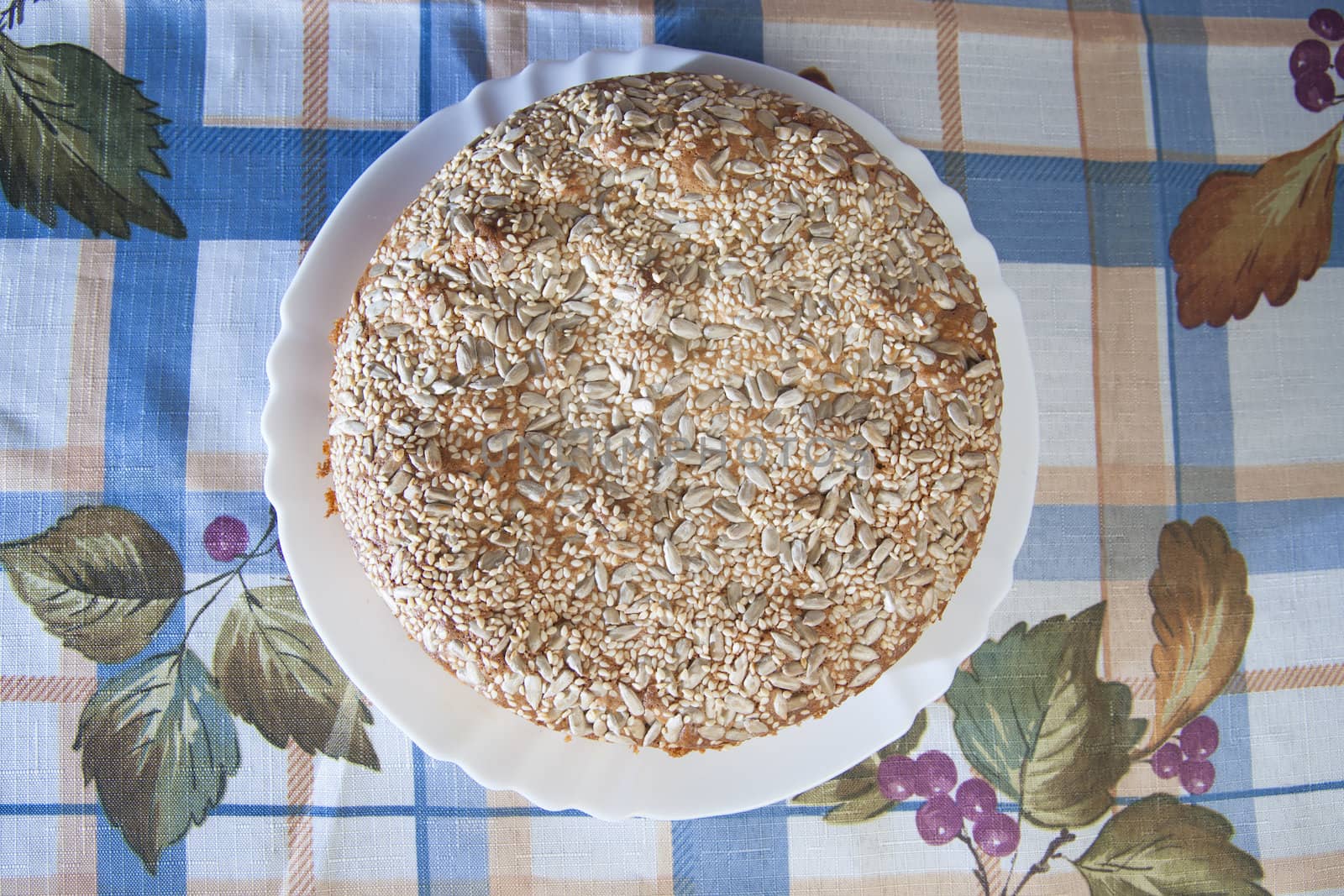 Apricot pie on plate. High resolution