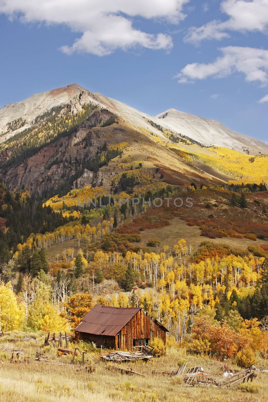 Old barn near Telluride, Colorado by donya_nedomam