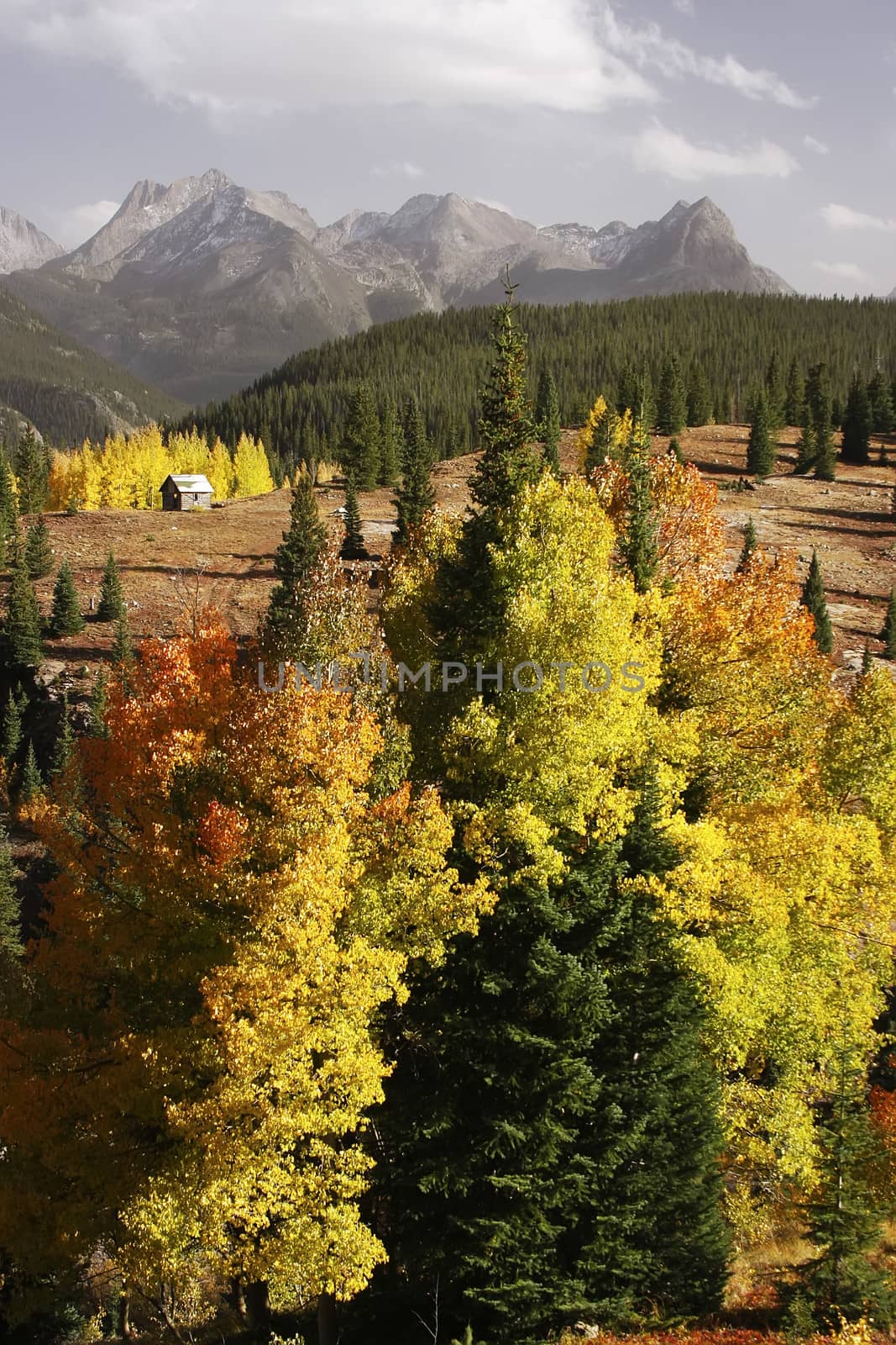 Molass pass, Rio Grande National Forest, Colorado by donya_nedomam