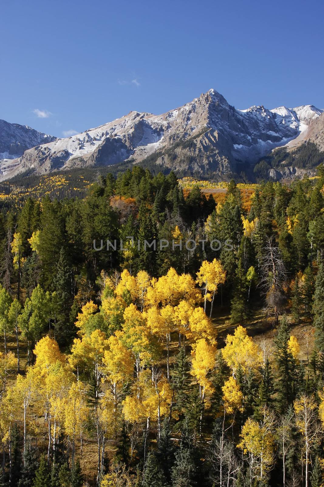 Dallas Divide, Uncompahgre National Forest, Colorado, USA