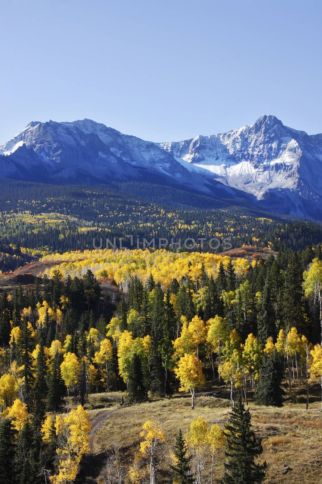 Dallas Divide, Uncompahgre National Forest, Colorado, USA