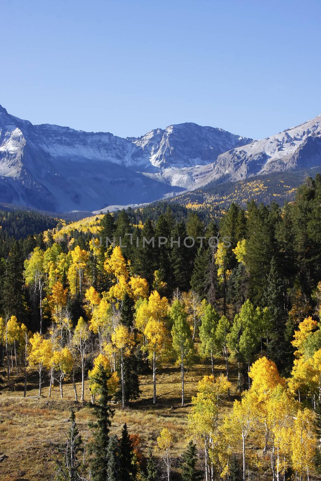 Dallas Divide, Uncompahgre National Forest, Colorado, USA