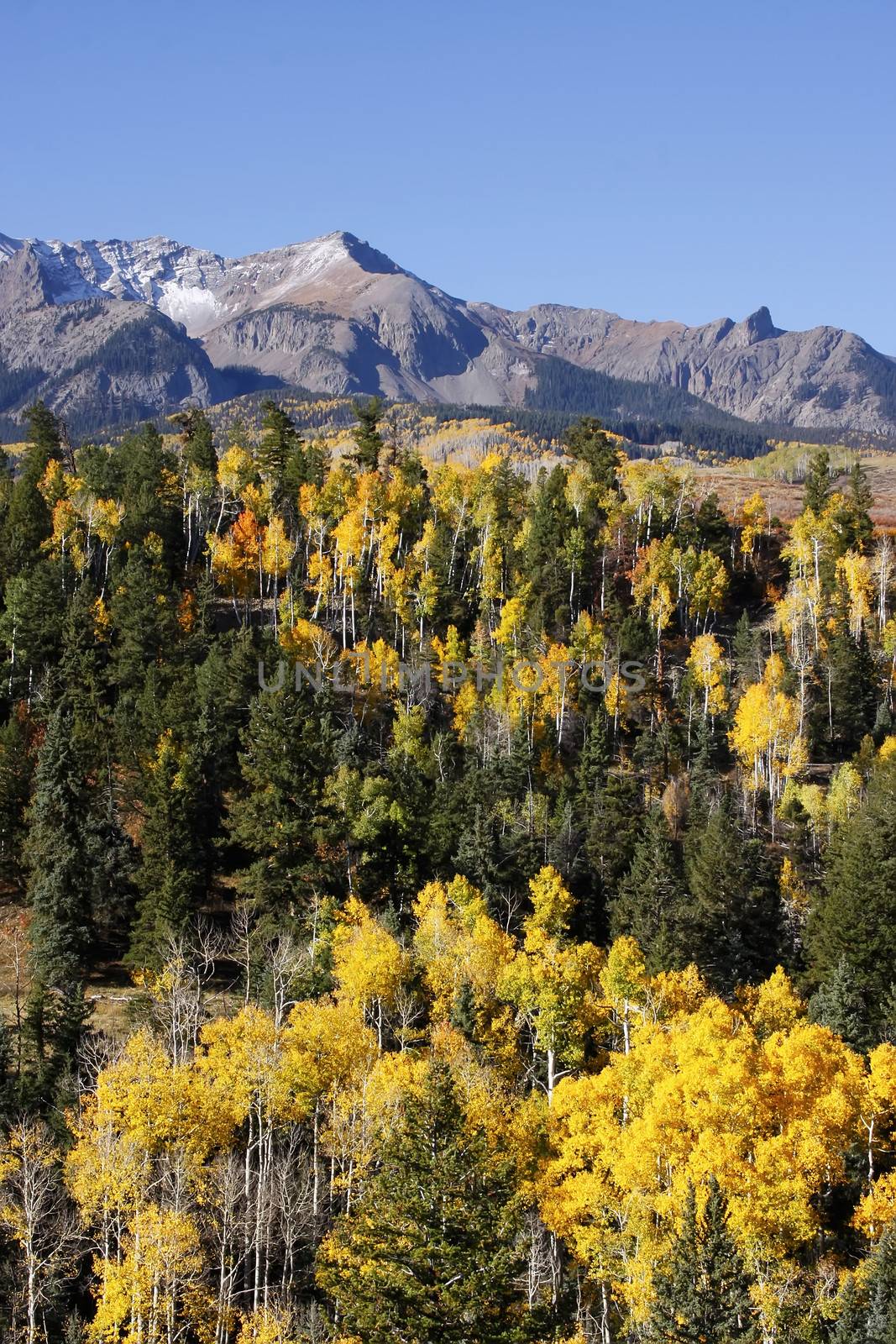 Dallas Divide, Uncompahgre National Forest, Colorado, USA