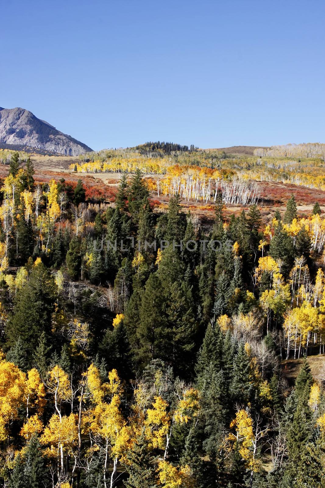 Dallas Divide, Uncompahgre National Forest, Colorado, USA