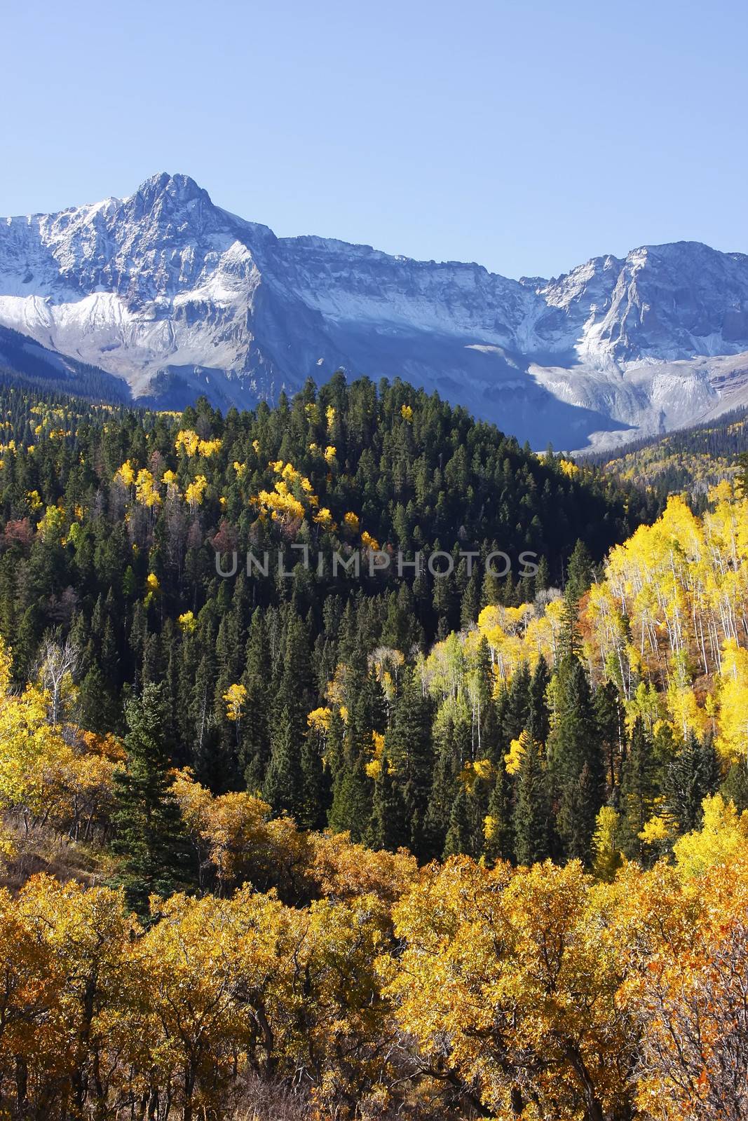 Dallas Divide, Uncompahgre National Forest, Colorado, USA