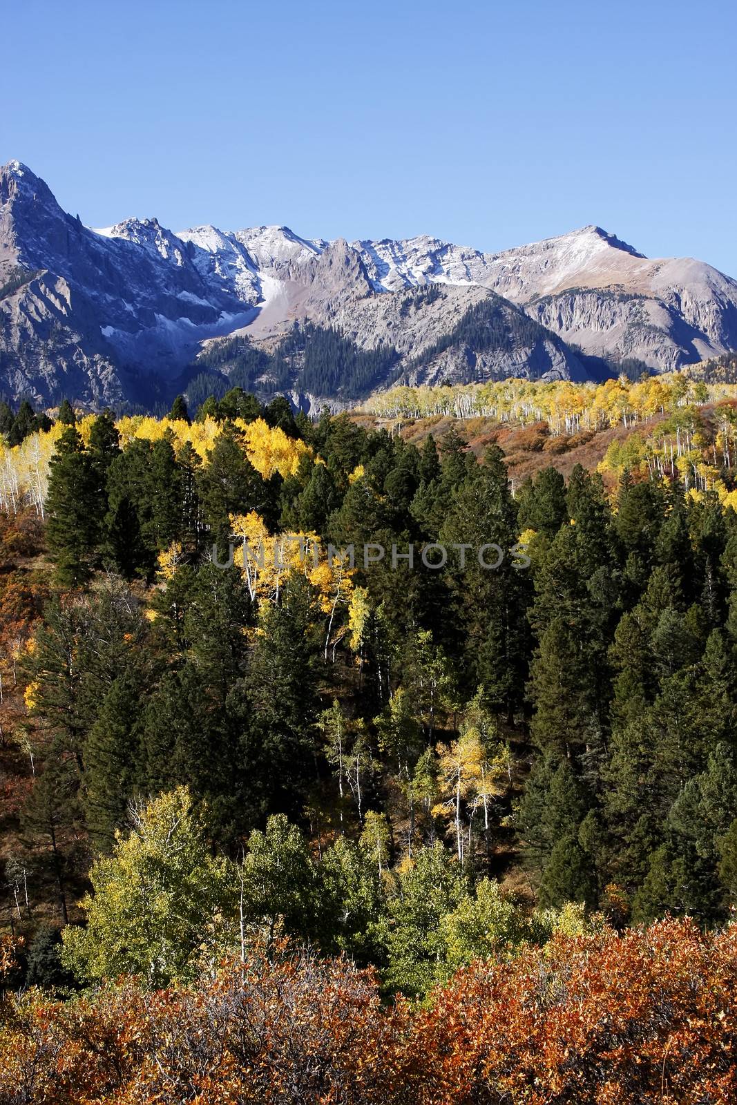 Dallas Divide, Uncompahgre National Forest, Colorado, USA