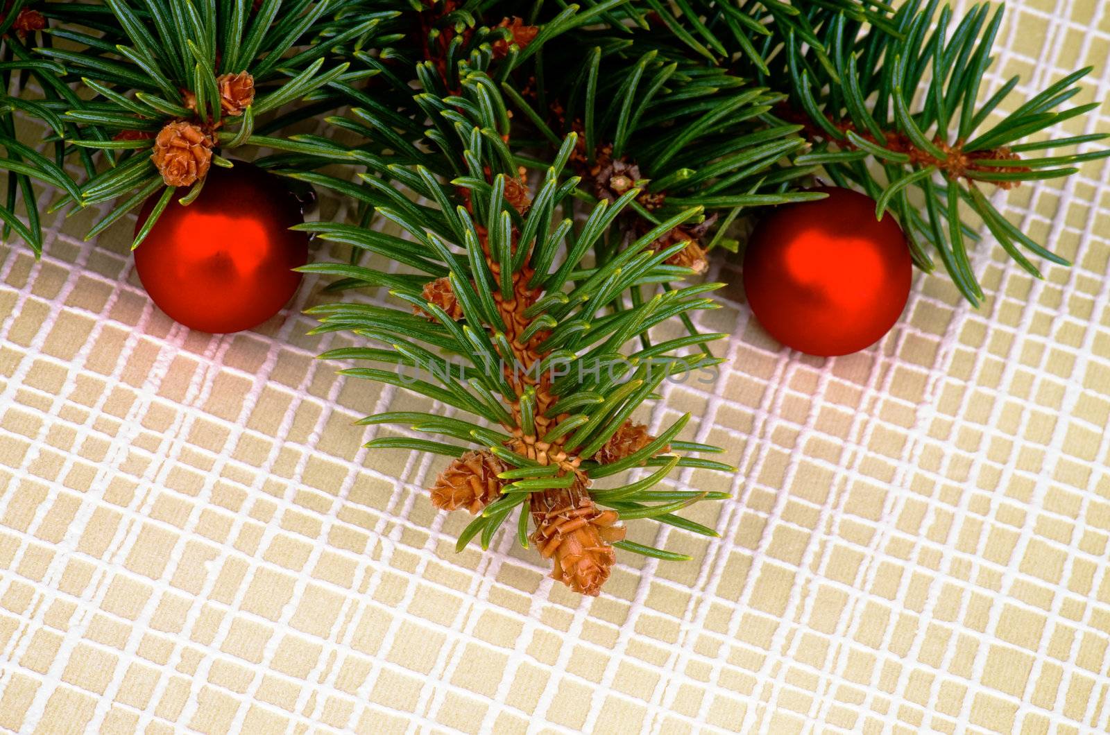 Arrangement of Green Spruce Branch with Fir Cones and Little Red Baubles isolated on Checkered background