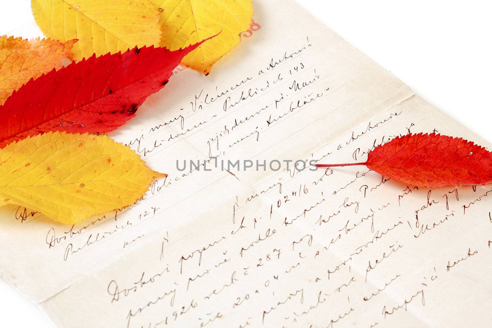 handwritten old letter with color autumn leaves