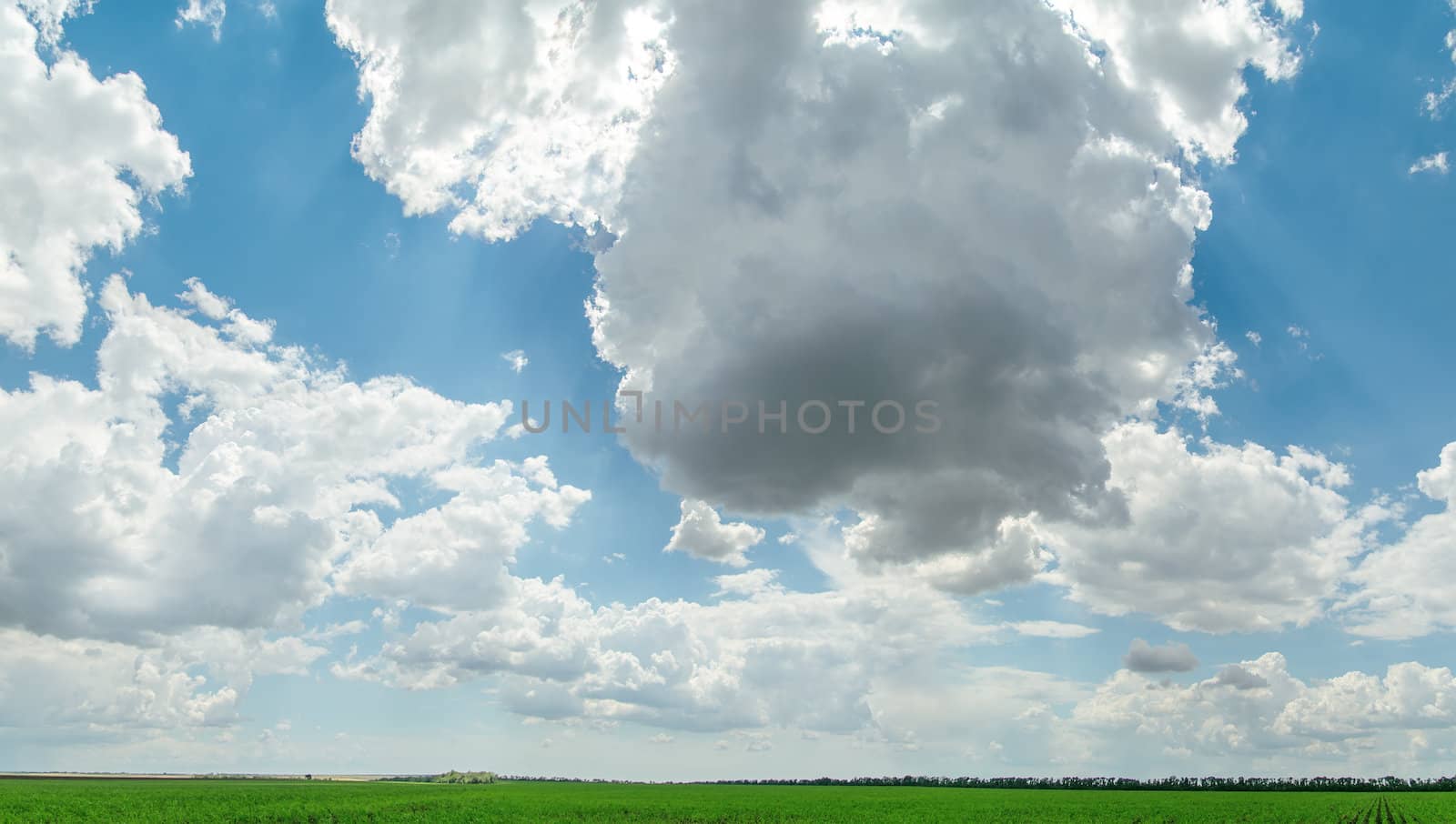 clouds over green field. panorama