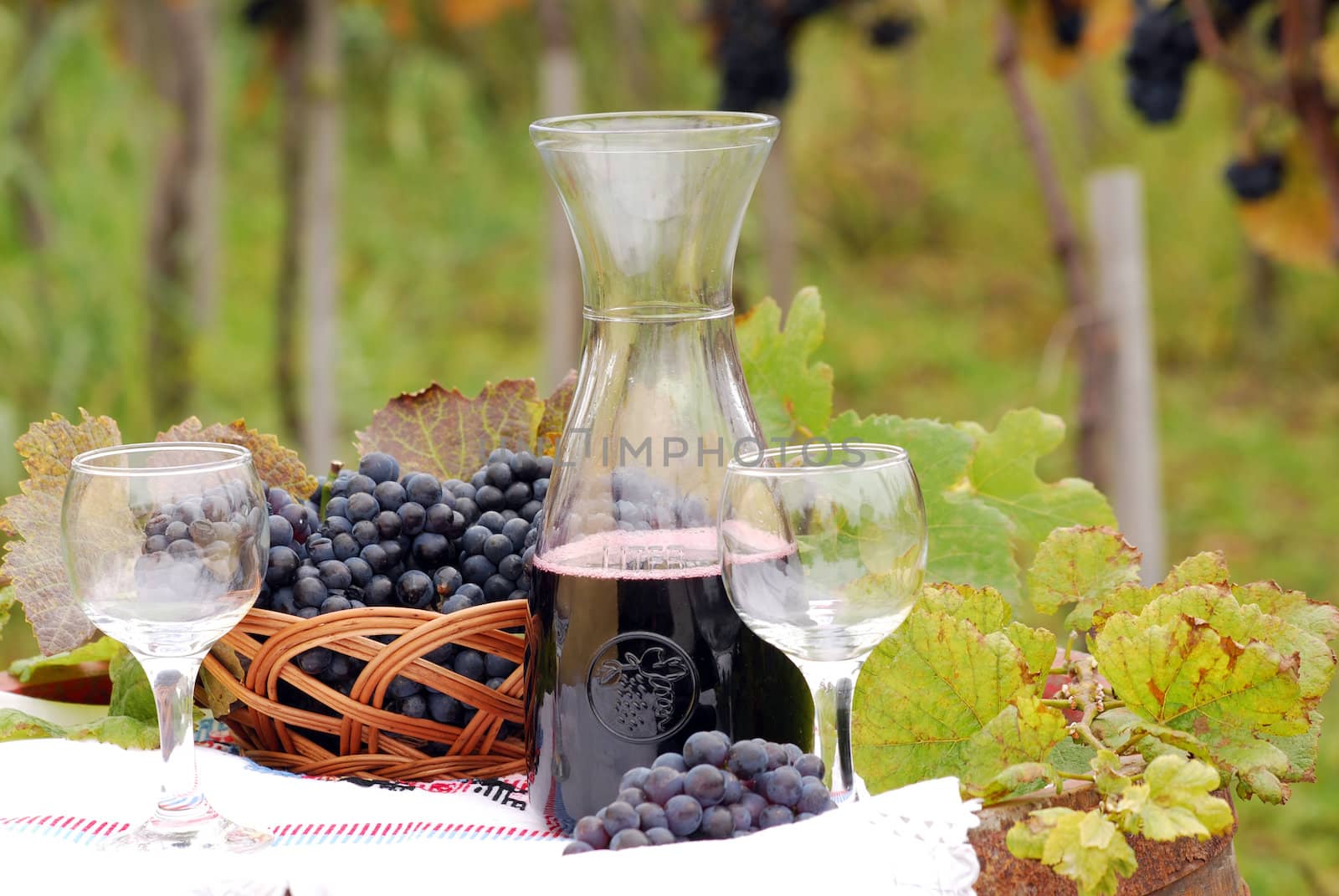 red wine and grape autumn season by goce