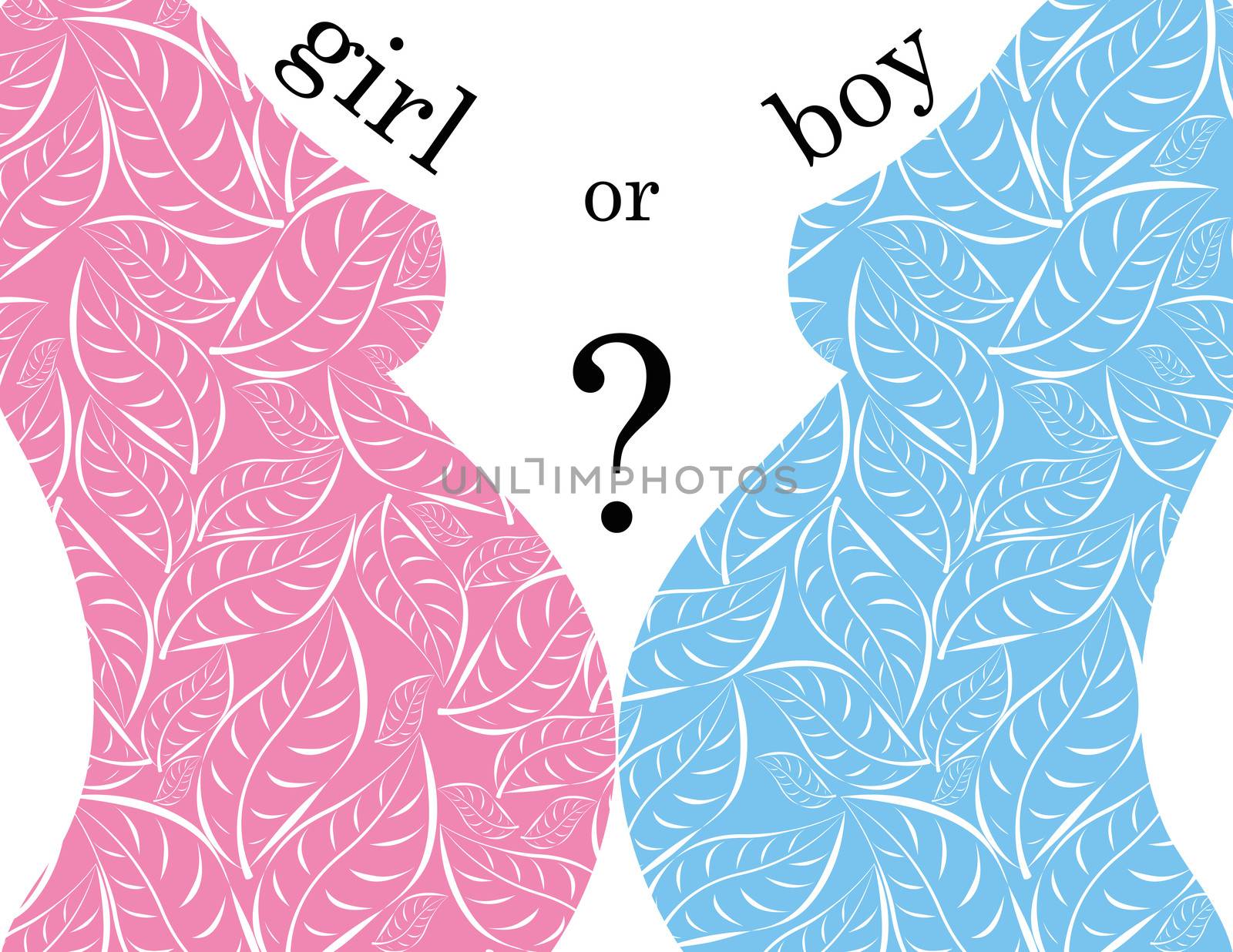 pregnancy who have a boy or a girl