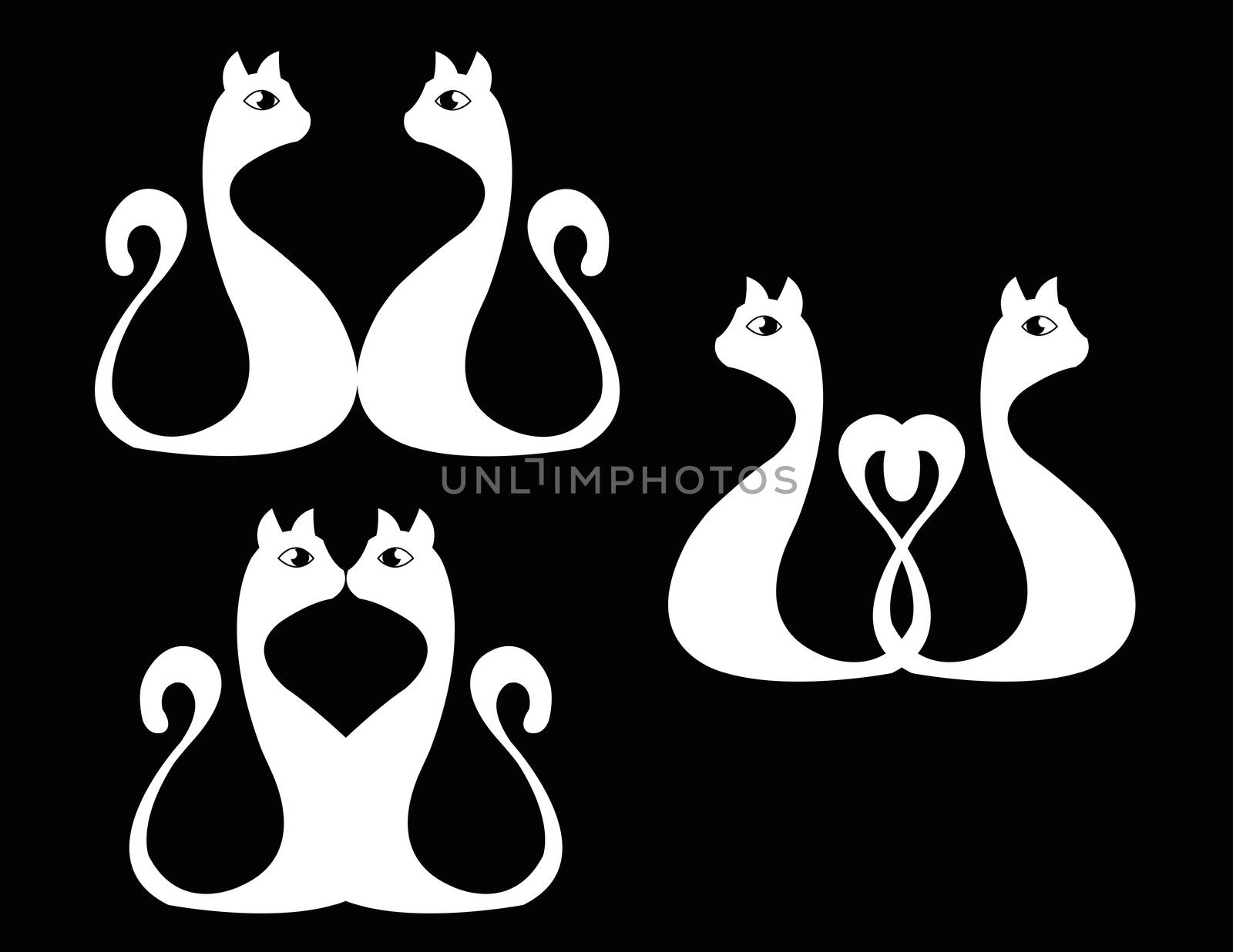 set of white cats on black background
