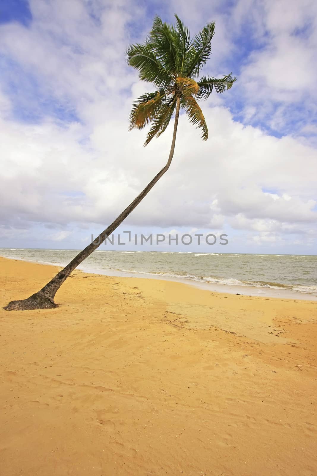 Las Terrenas beach, Samana peninsula by donya_nedomam