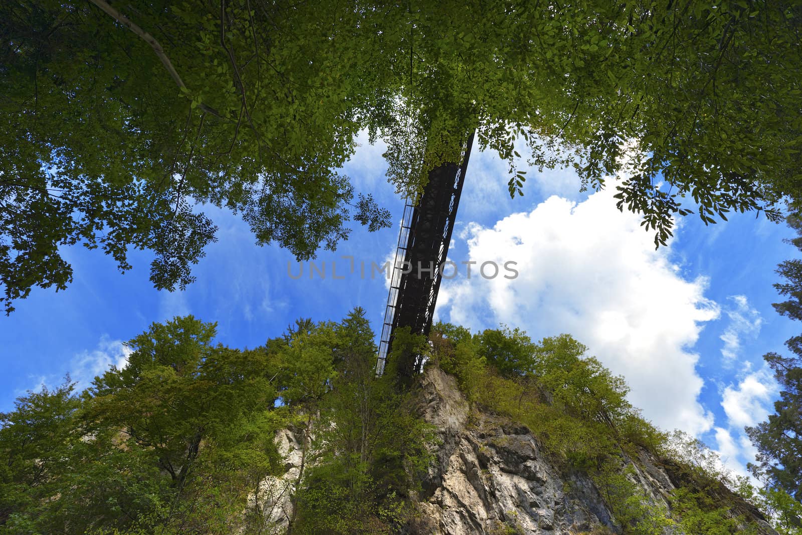 The canyon Slizza (Italy) between a dense forest with blue sky and clouds