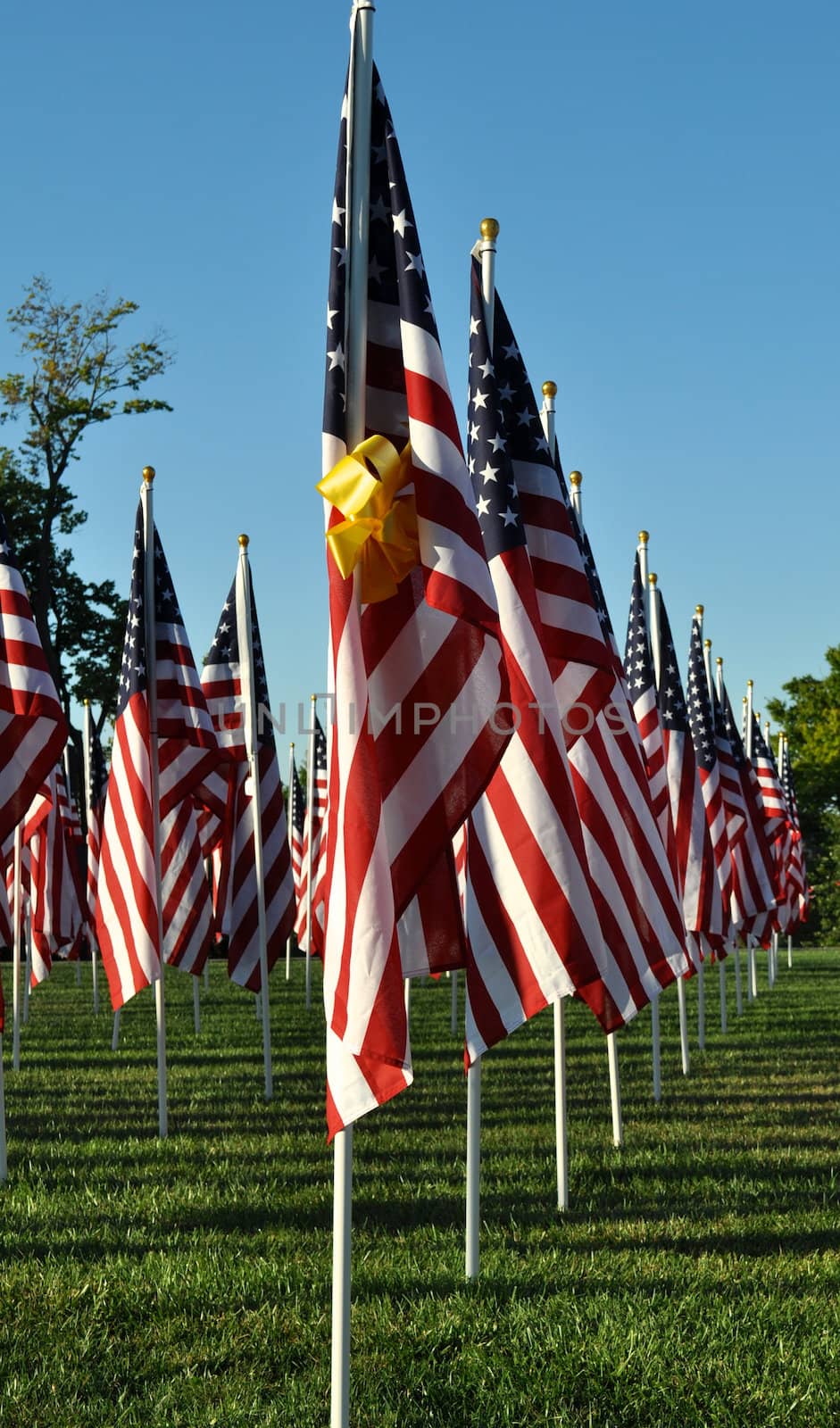 American Flags all in a row