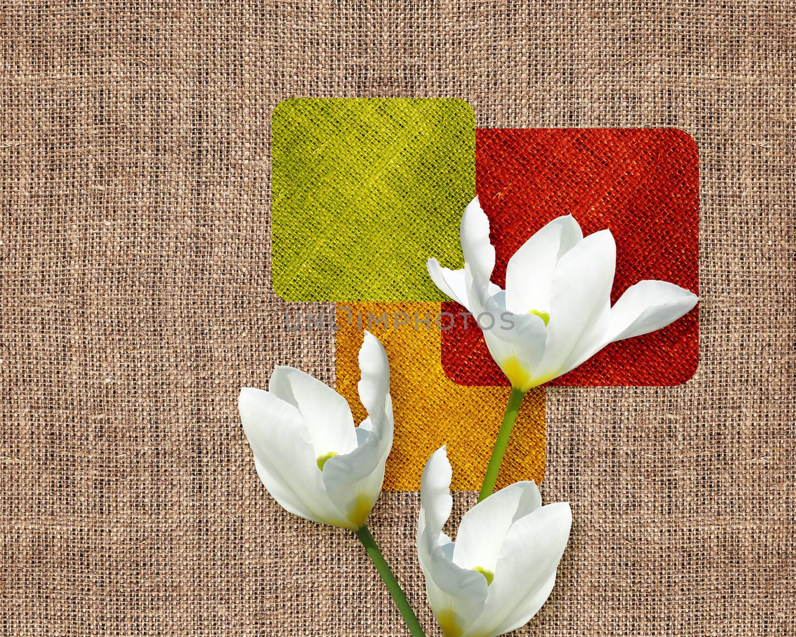 Postcard, Flowers on sacking cloth background.