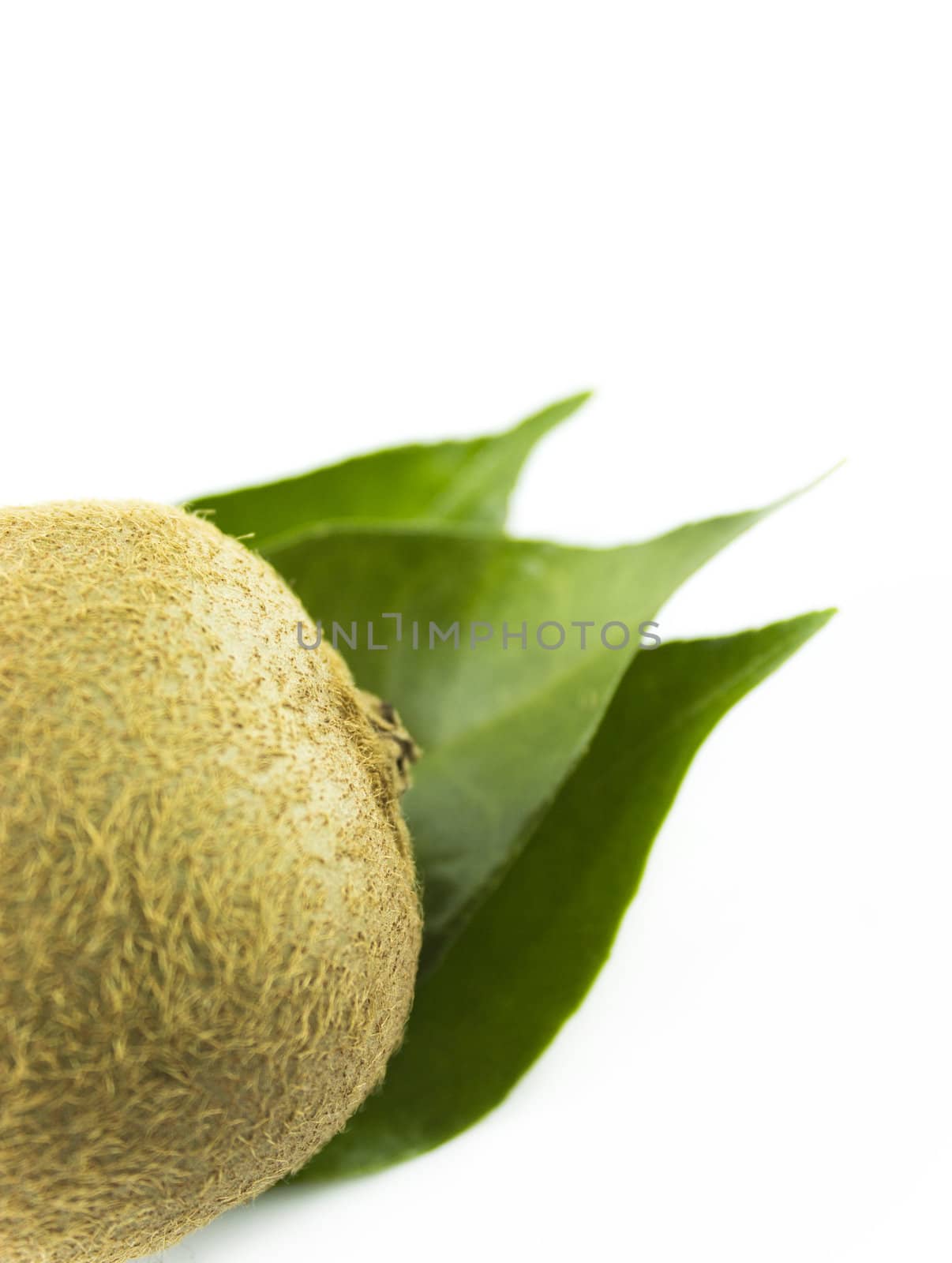 Juicy kiwi fruit and leaves isolated on white with a clipping path