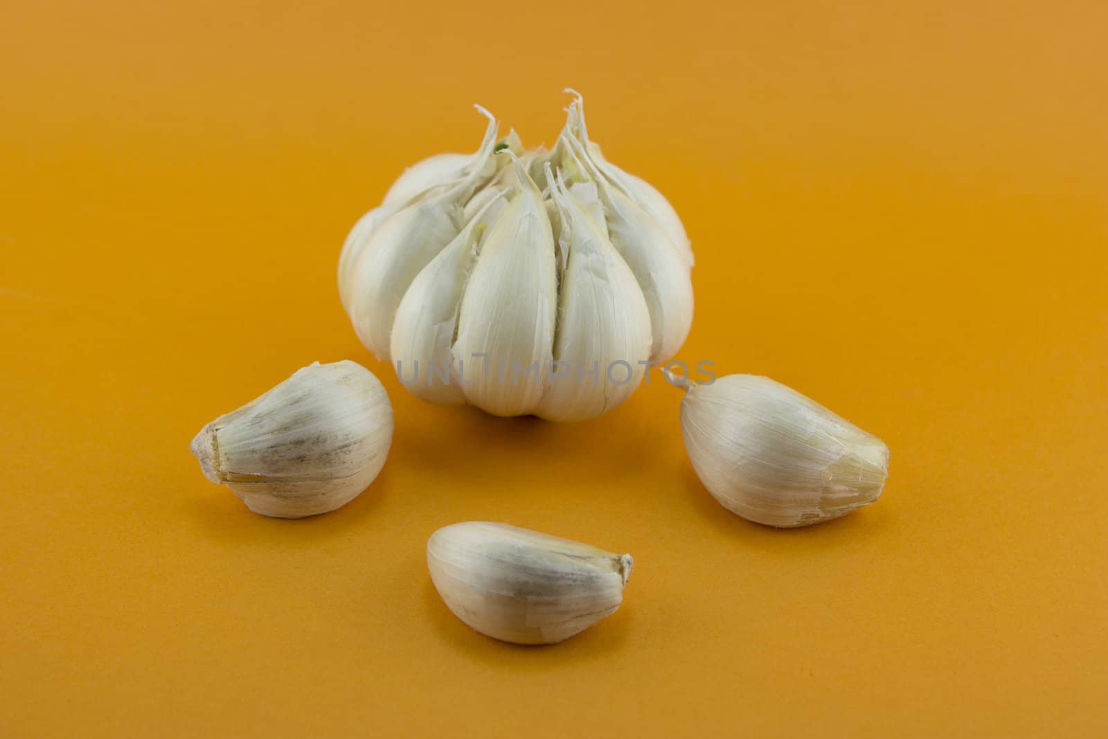 Garlic and garlic bulb on orange background