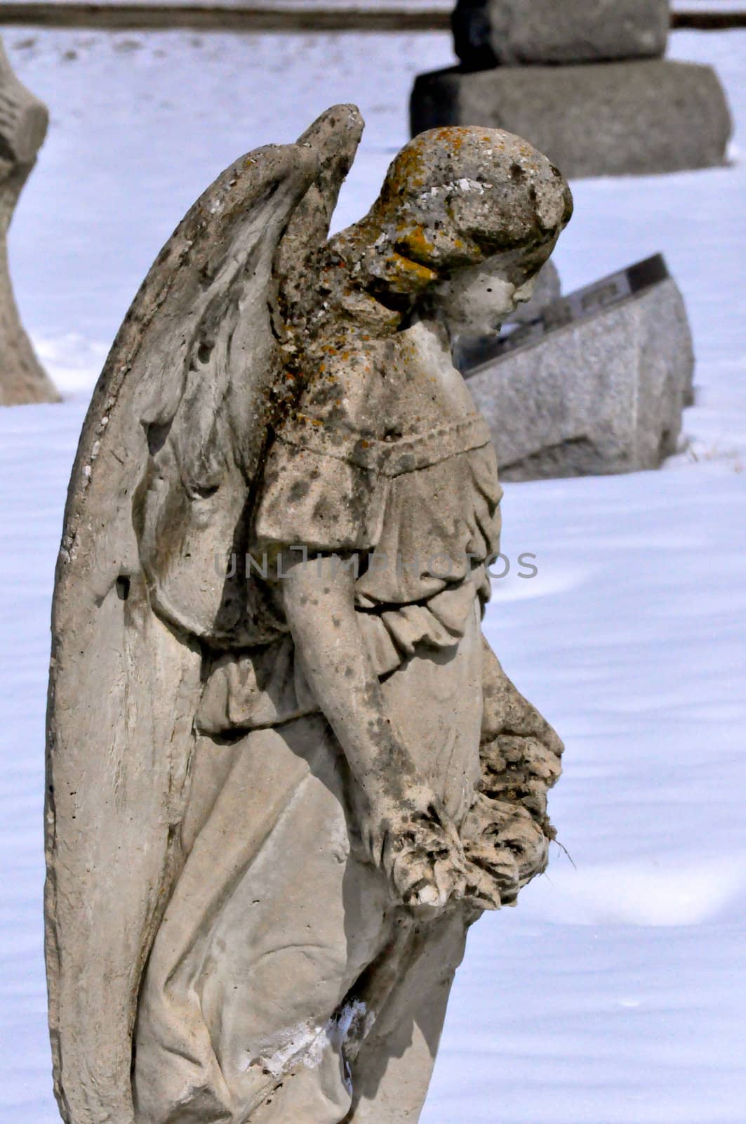 Marble Statues in a Cemetery