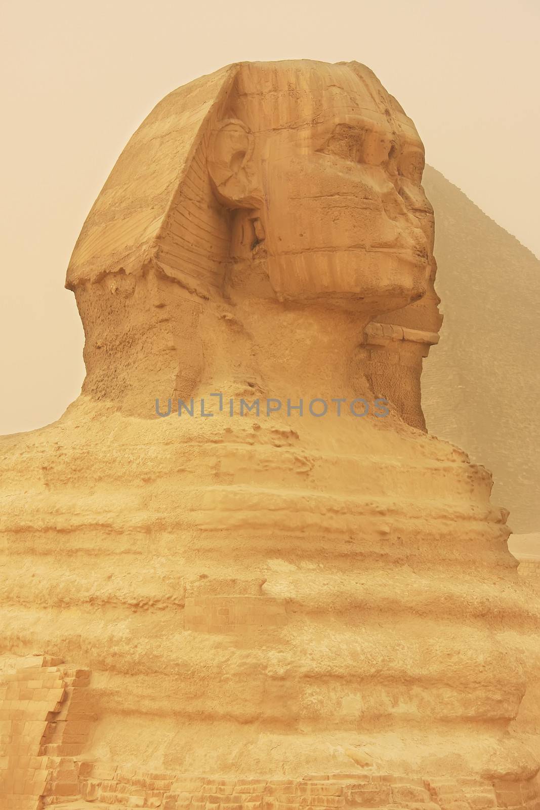 The Sphinx in a sand storm, Cairo, Egypt by donya_nedomam