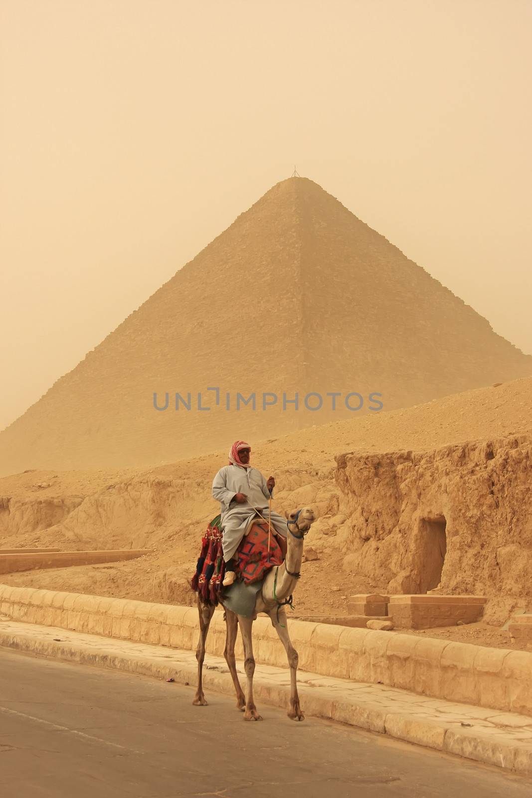 Bedouin riding camel near Great Pyramid of Khufu in a sand storm, Cairo, Egypt