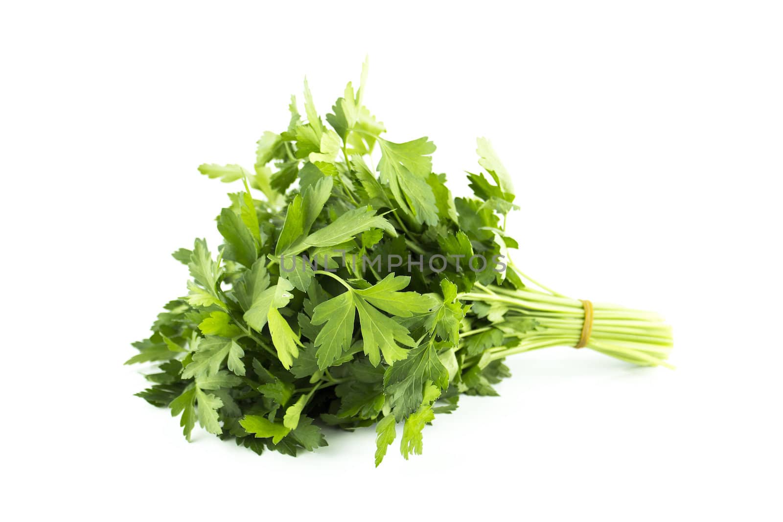 a bunch of parsley on a white background