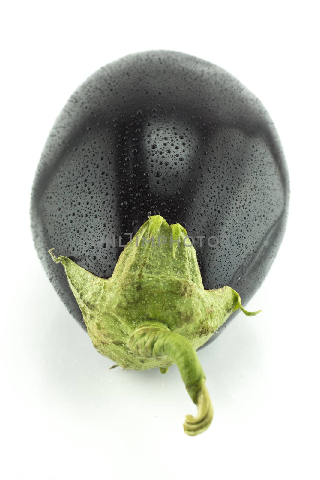 fresh eggplant vegetable with water drops on white background .