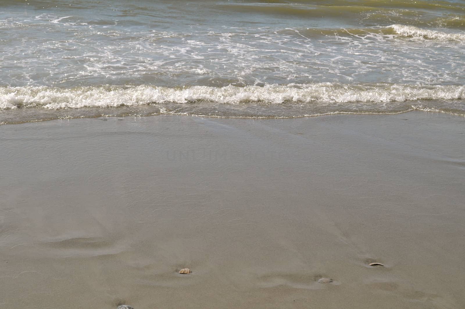 Ocean waves in the background