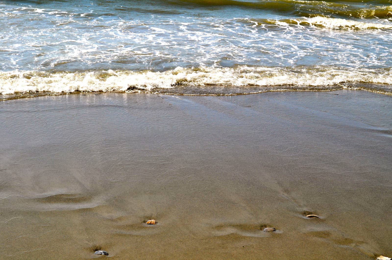 Ocean waves in the background