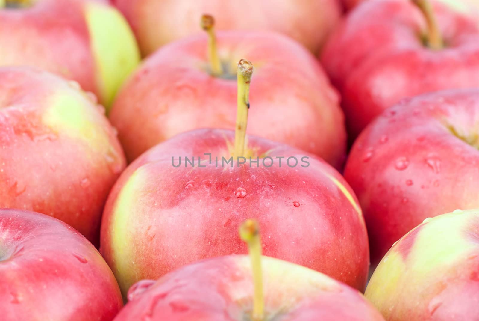 fresh red apples closeup by Zhukow