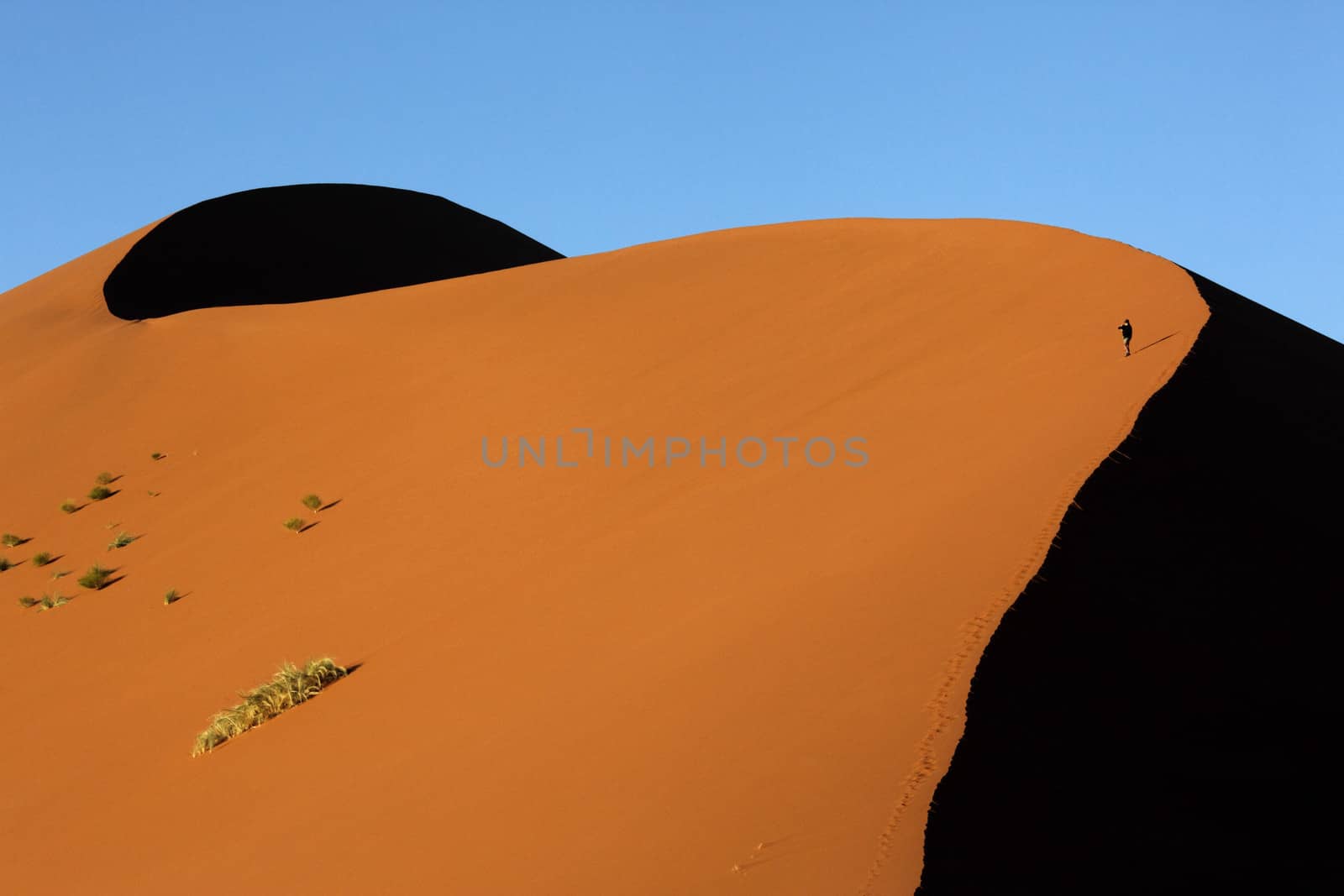 Tourist climbing a sand dune at Sossusvlei in the Namib-nuakluft Desert in Namibia
