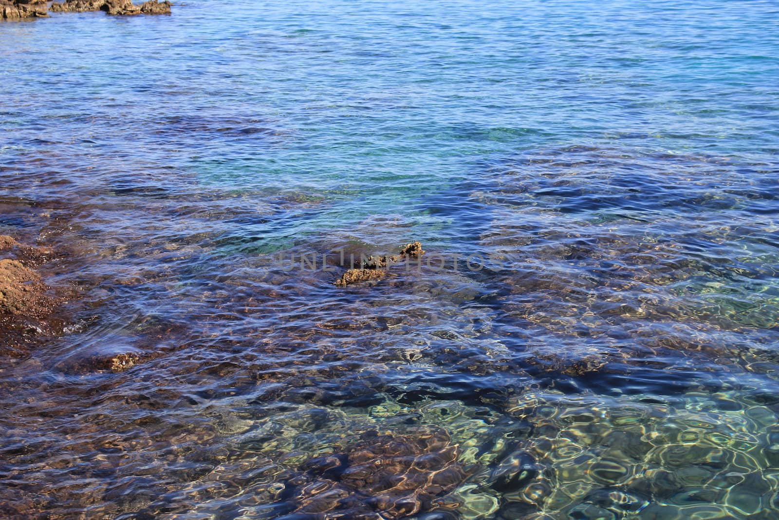 sea bottom through the clear water and the sun's rays