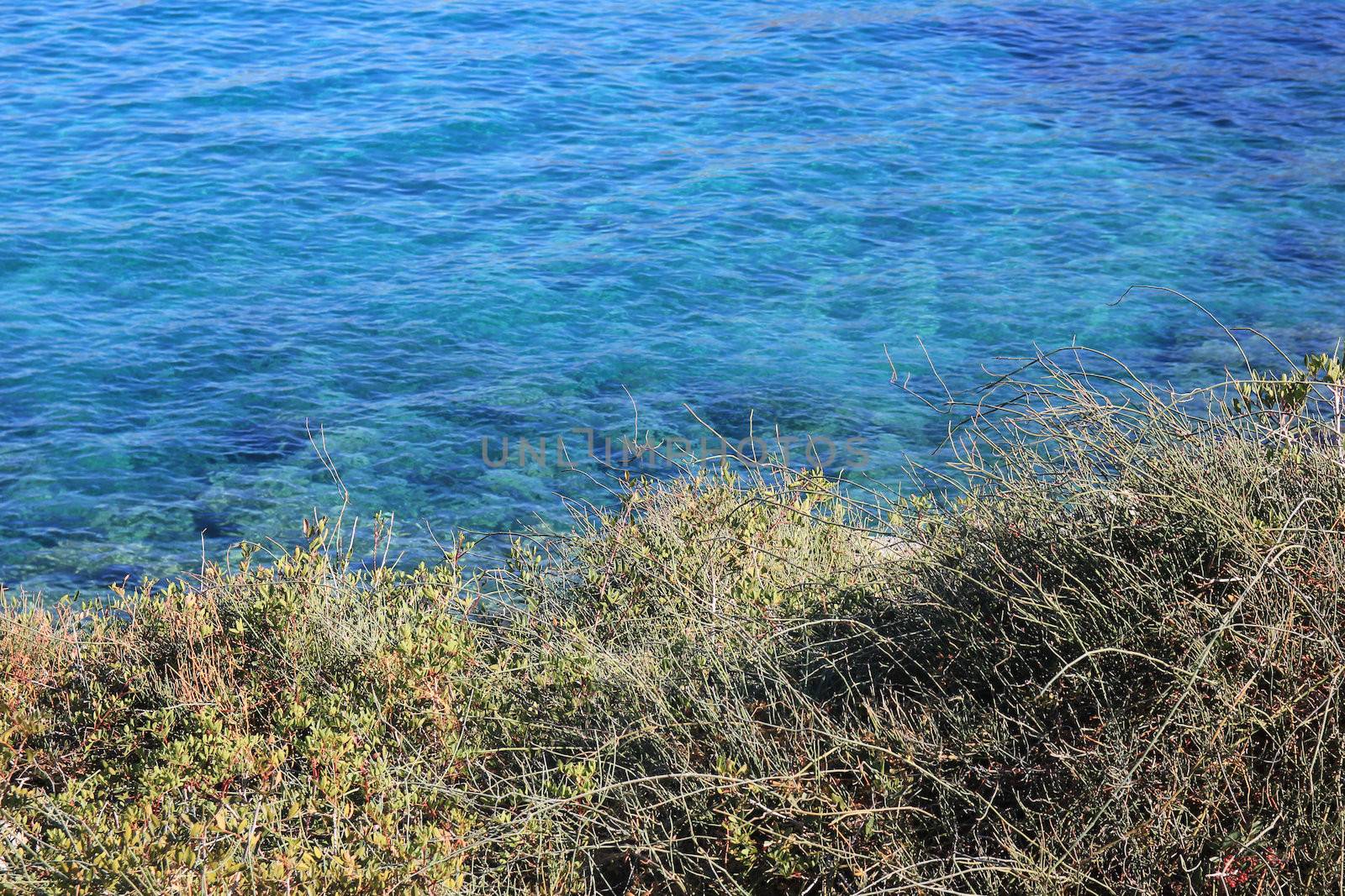 turquoise sea water through the sun's rays
