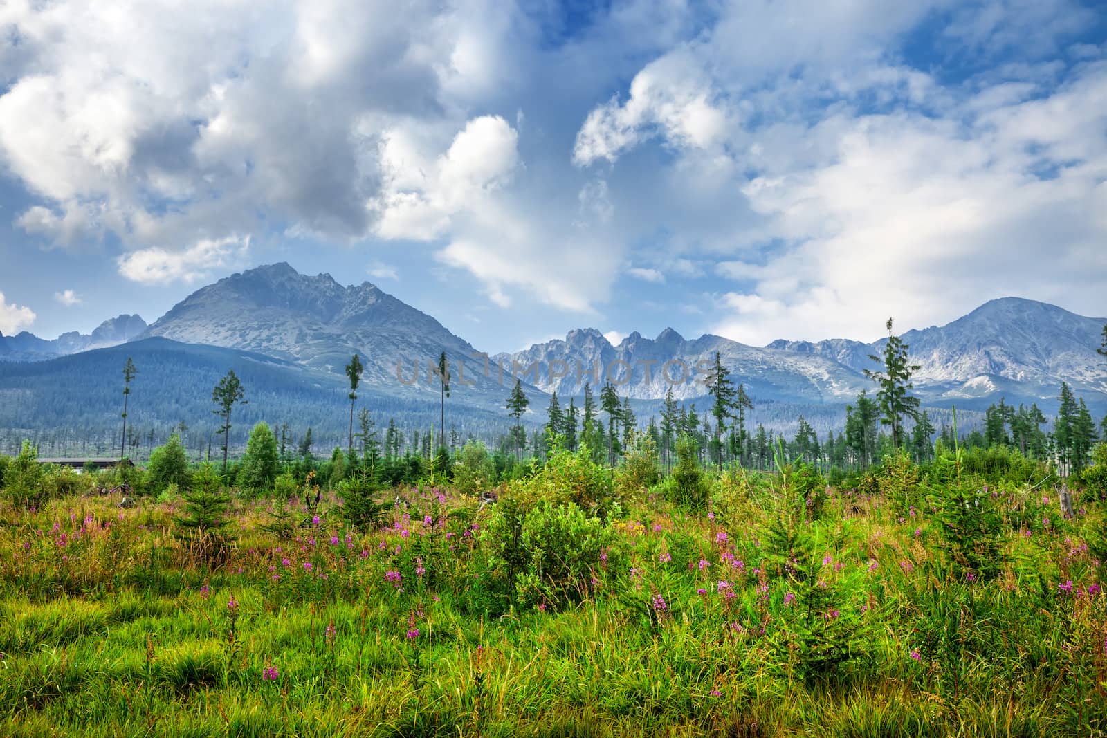 Mountains in National Park High Tatra. Slovakia, Europe