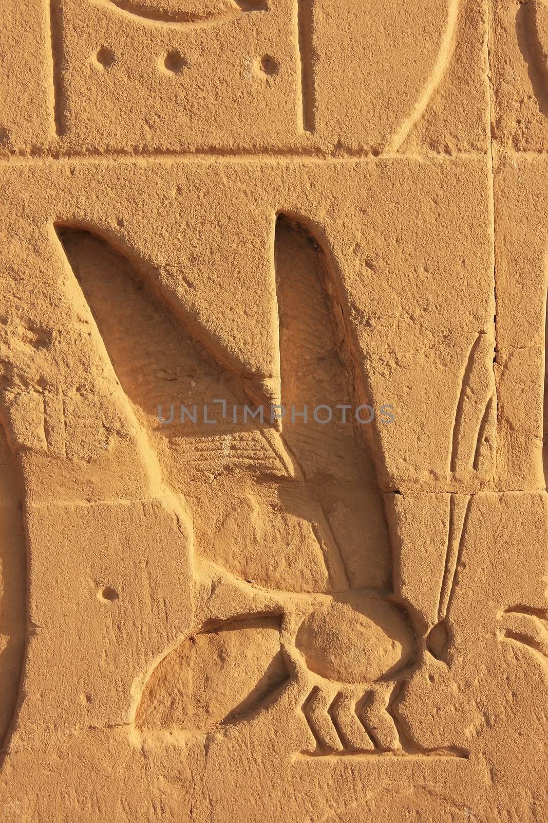 Ancient hieroglyphics on the walls of Karnak temple complex, Lux by donya_nedomam