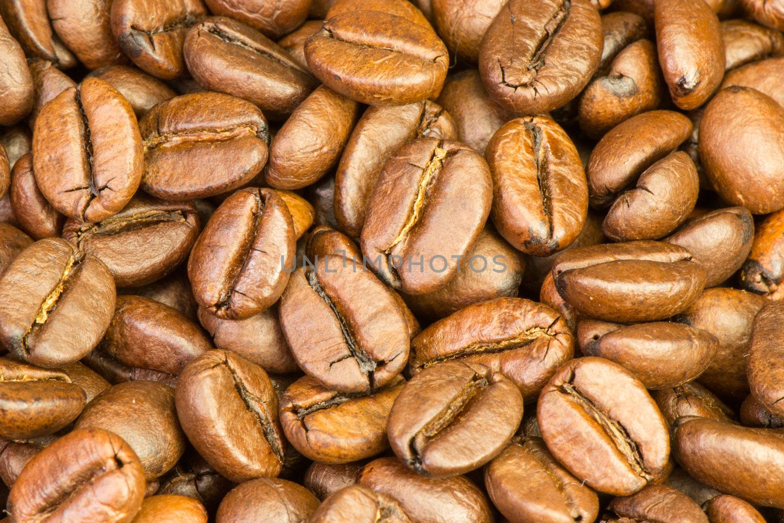 Fine selected roasted coffee beans background