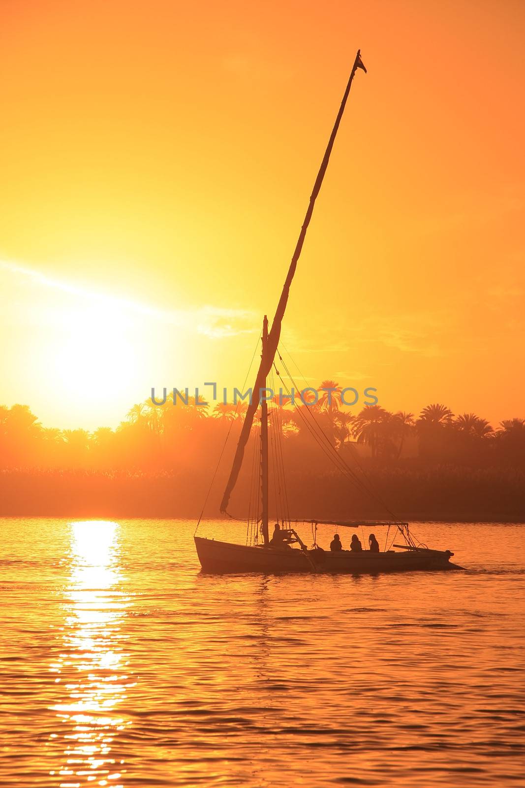 Felucca boat sailing on the Nile river at sunset, Luxor, Egypt