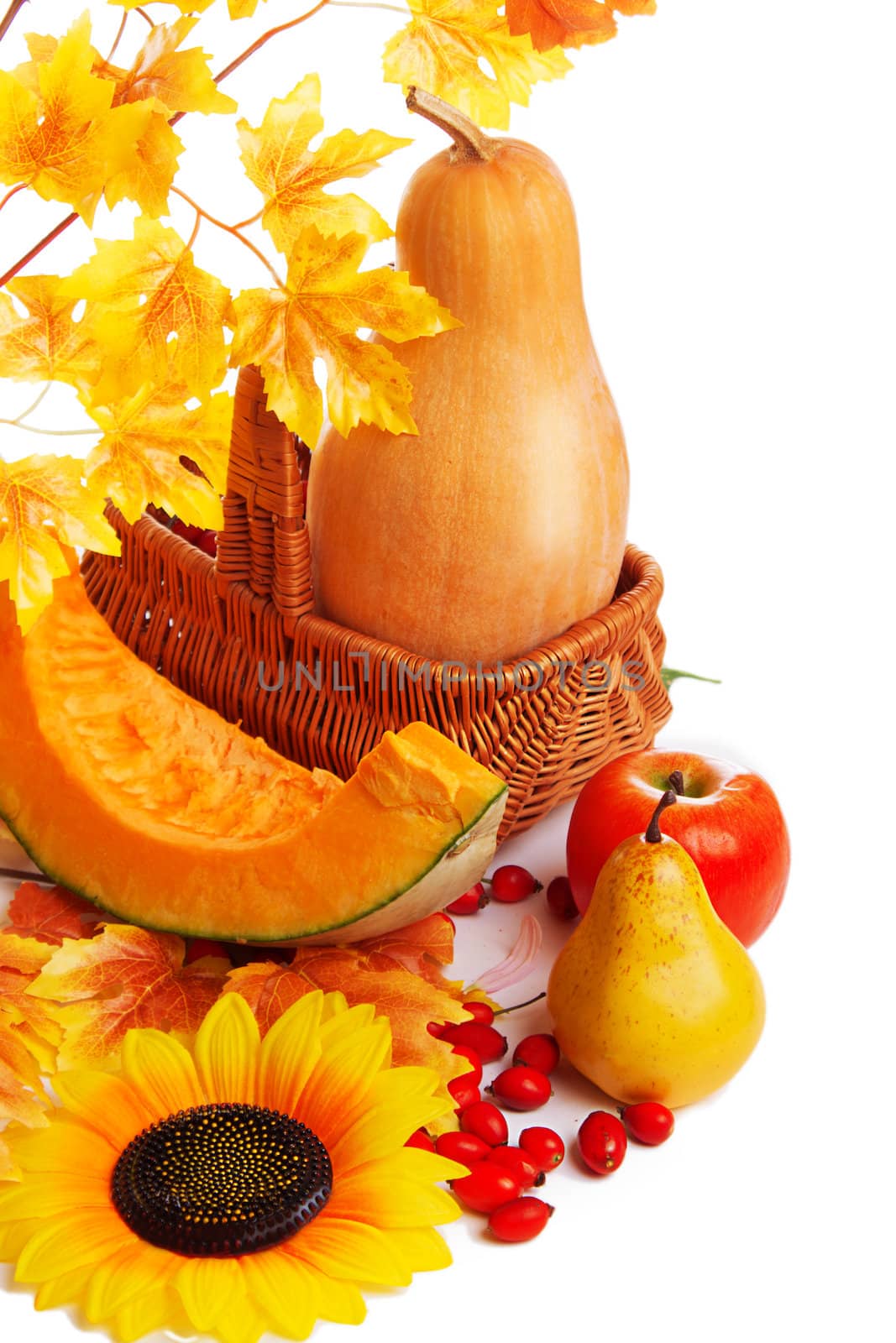Autum harvest fruits and vegetables in basket with yellow leaves isolated on white
