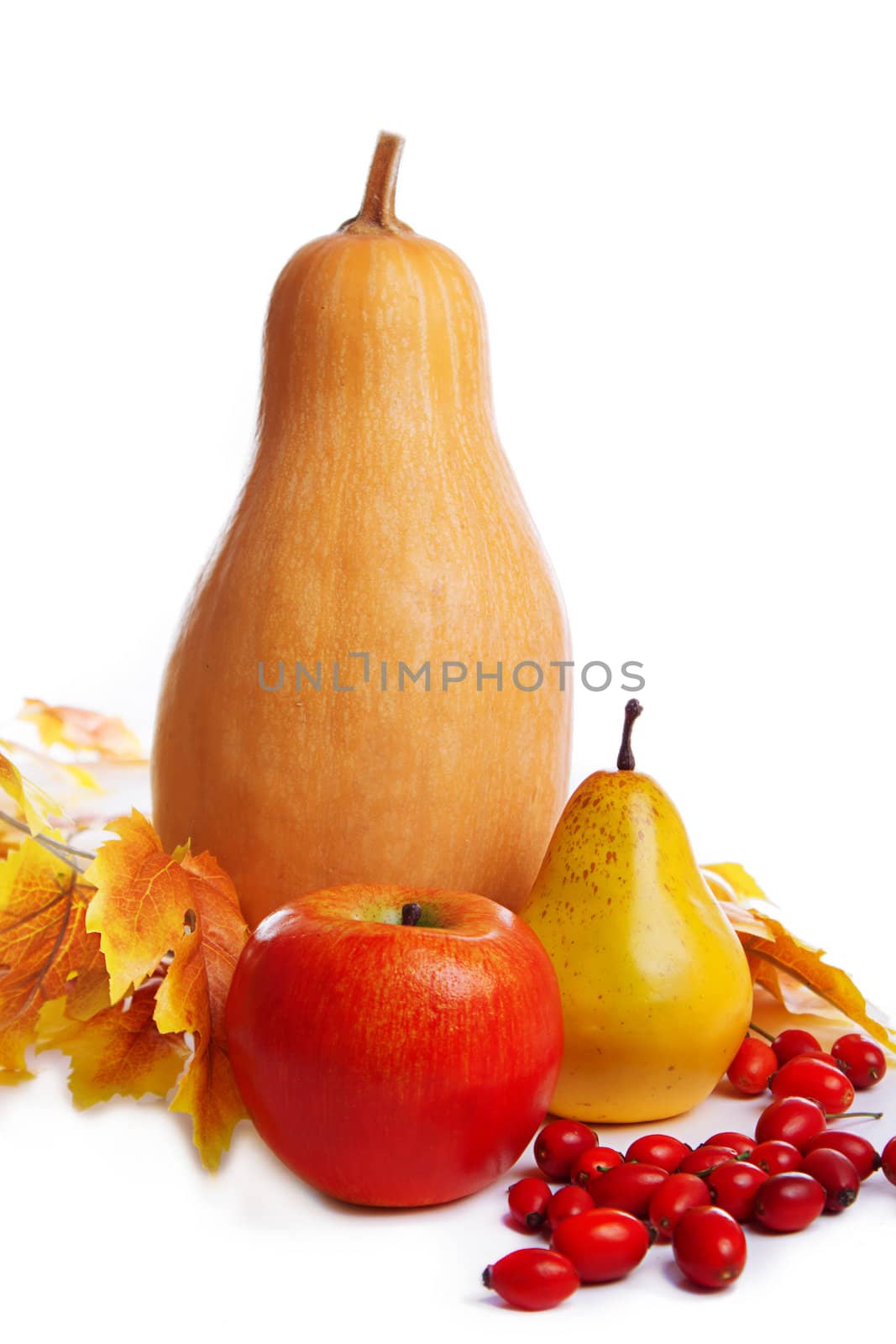 Autum harvest fruits and vegetables with yellow leaves isolated on white