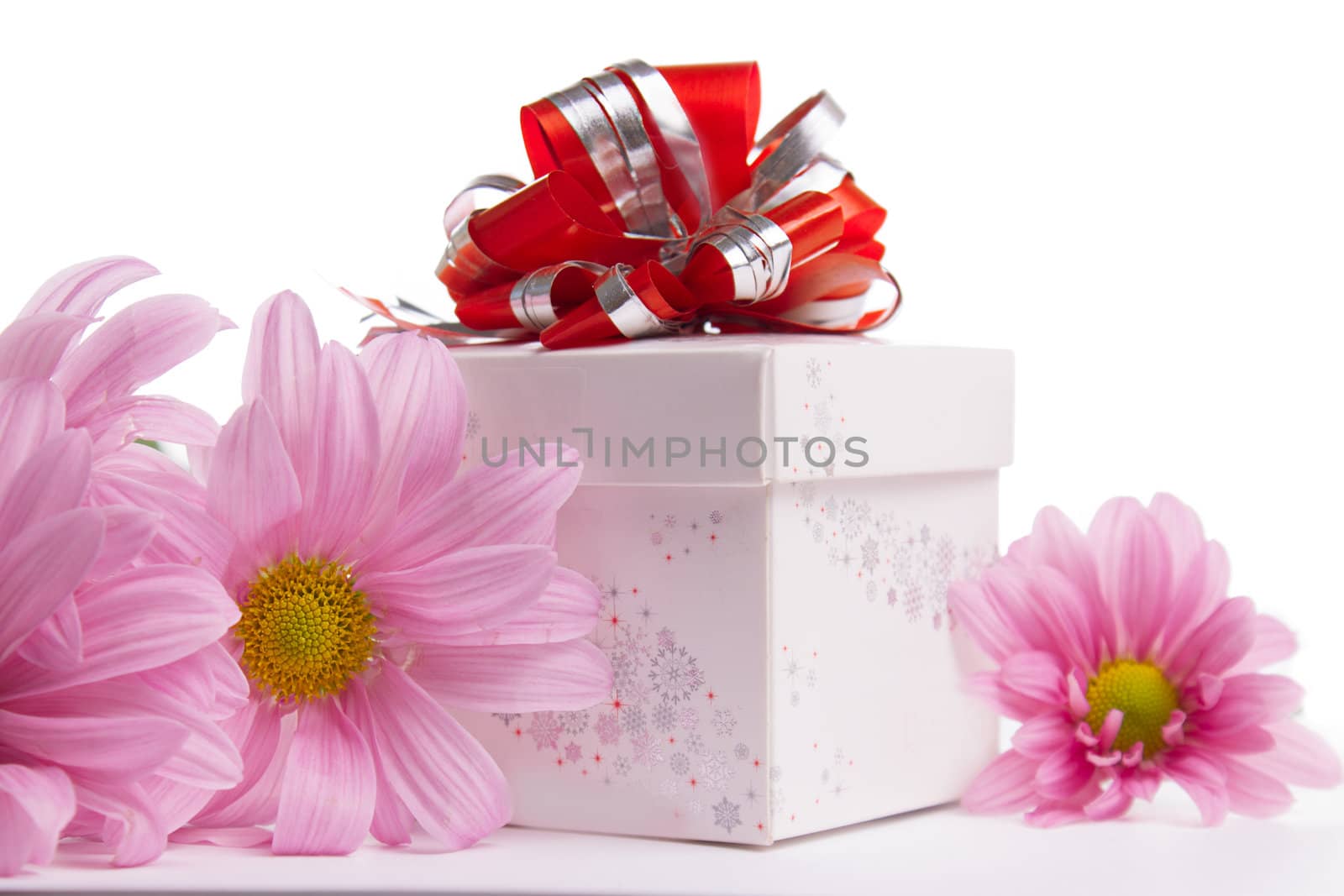 Gift-box with red bow with pink daisies by Angel_a