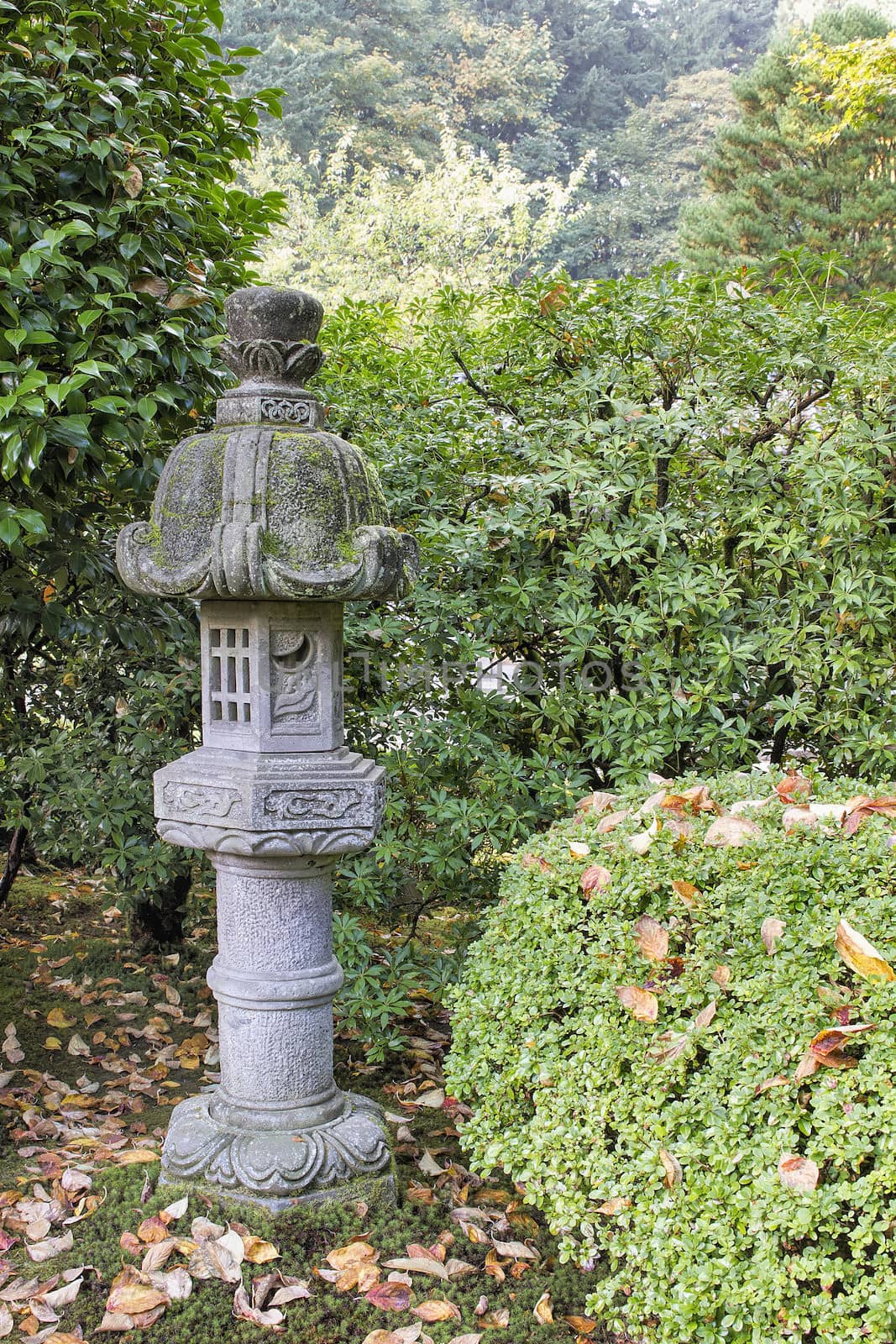 Japanese Stone Lantern in Garden with Plants and Shrubs during Fall Season