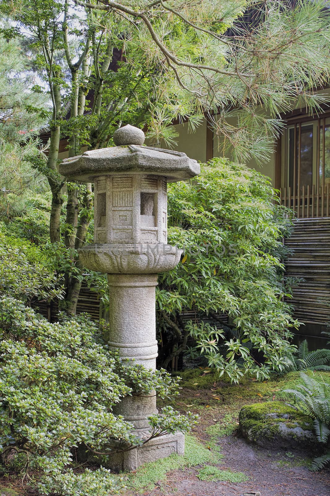 Japanese Stone Lantern in Garden with Trees Plants and Shrubs during Fall Season