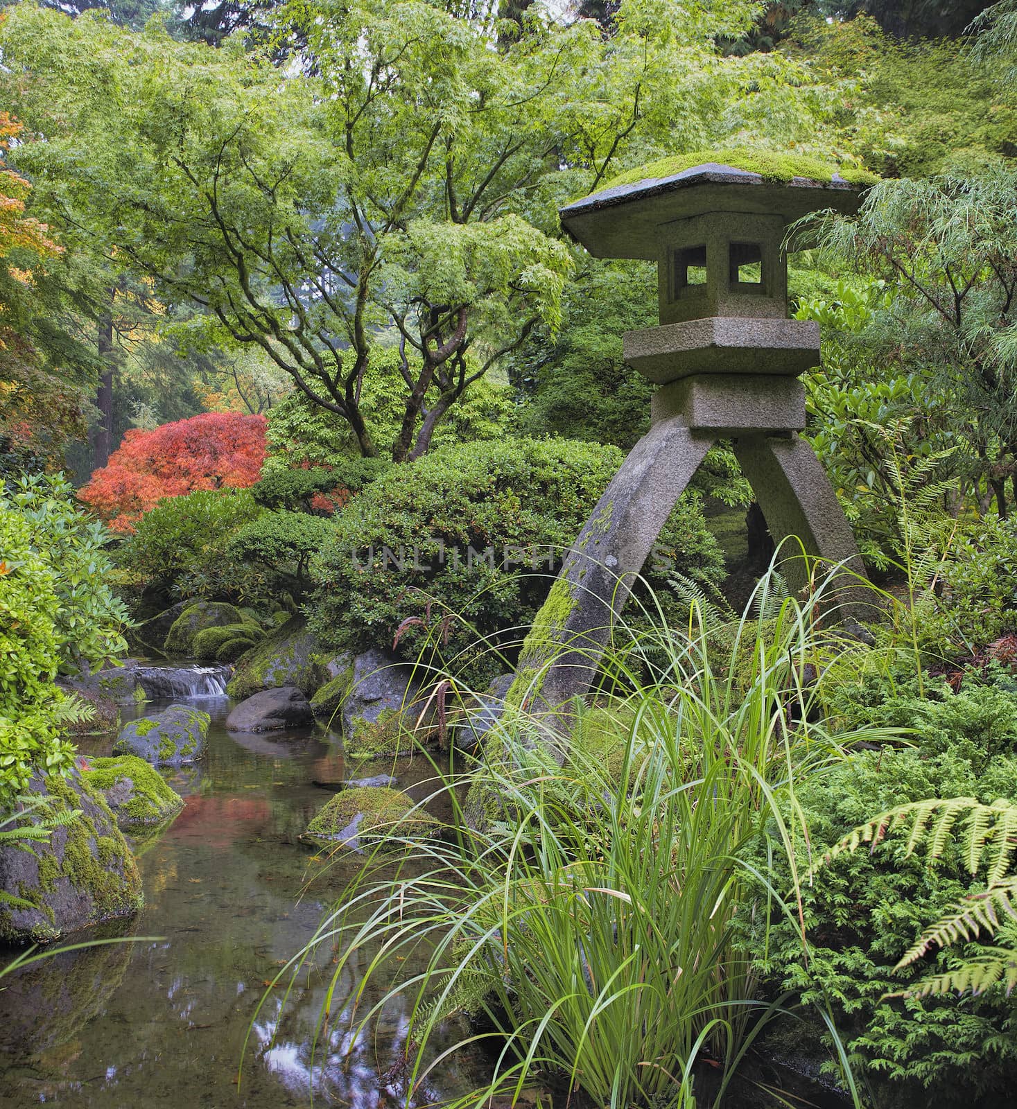 Japanese Stone Lantern by Water Stream by Davidgn