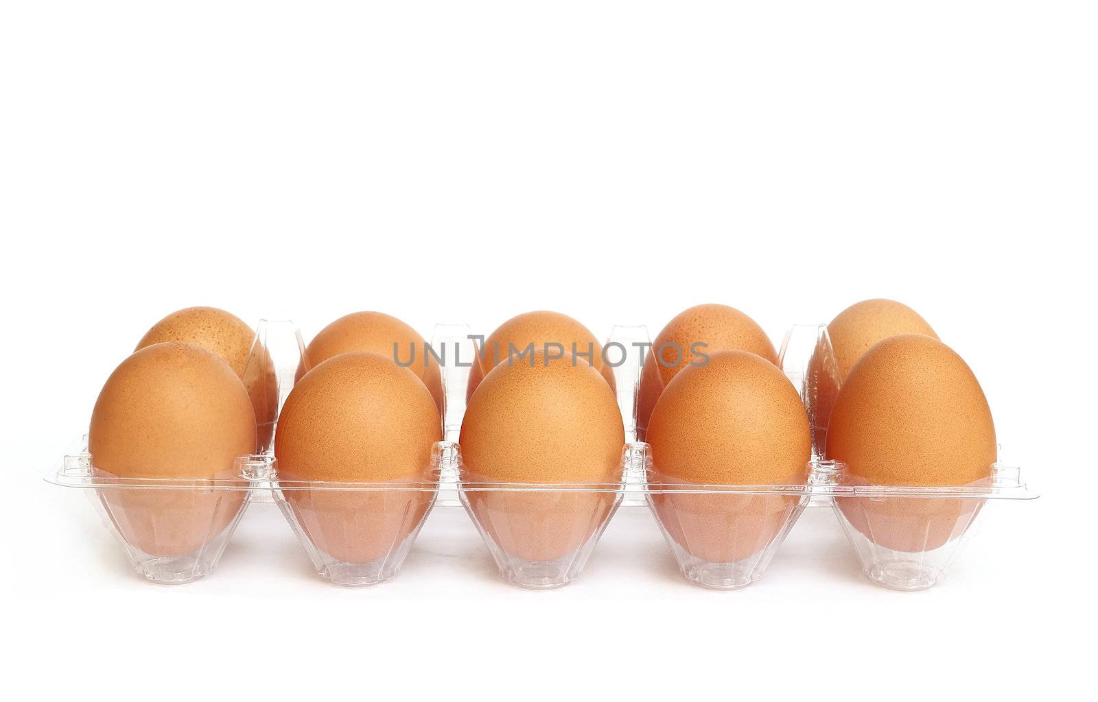 Eggs in the plastic package isolated on white background