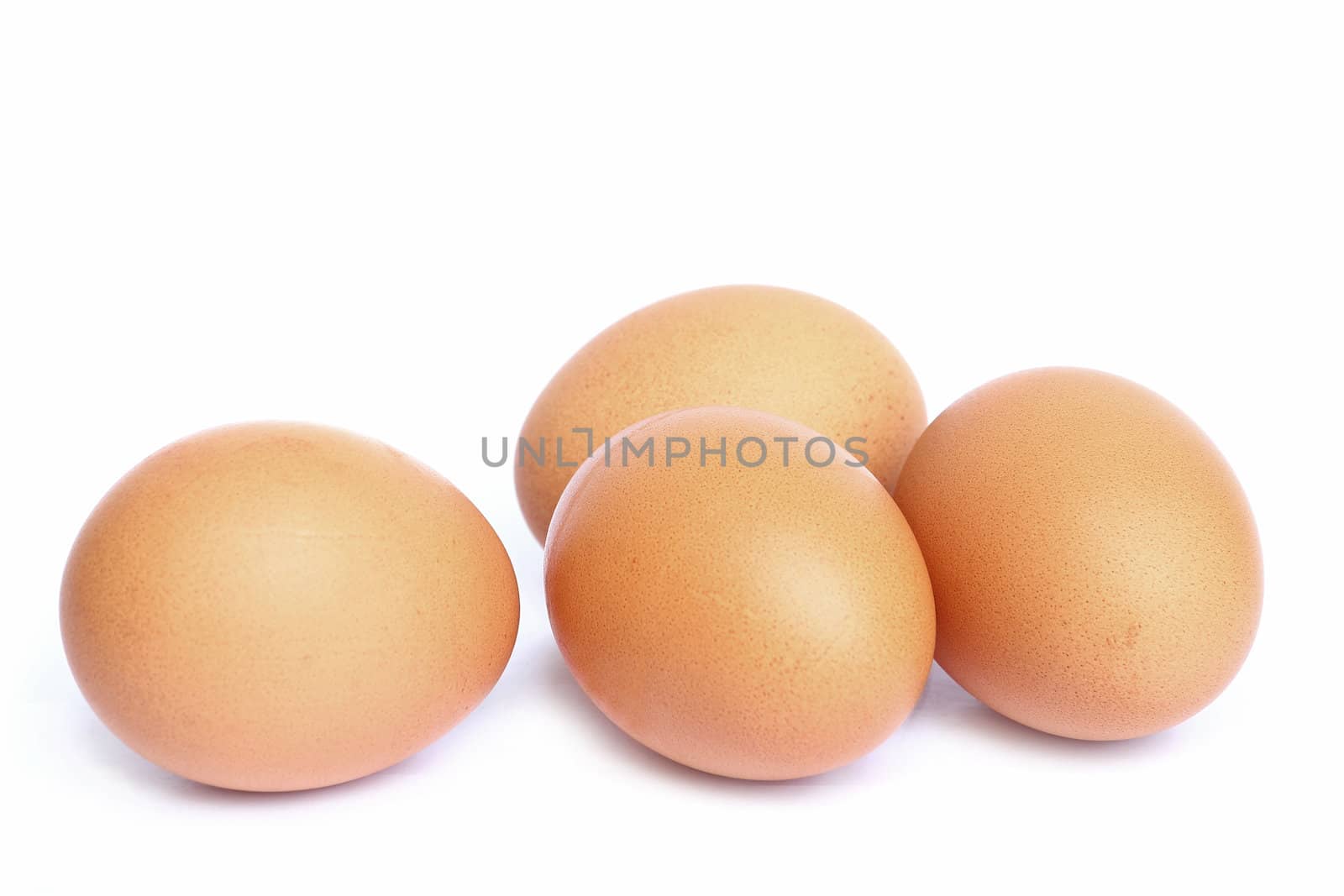 Eggs isolated on white background