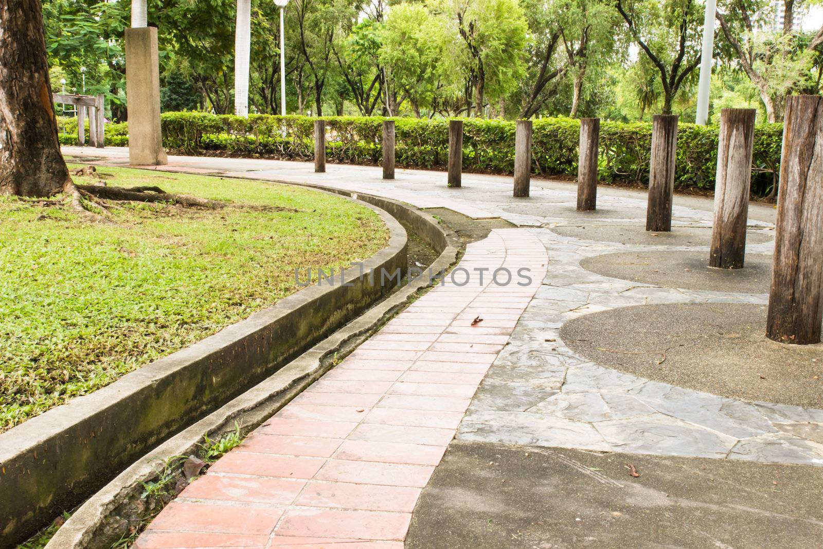 Sidewalk in garden