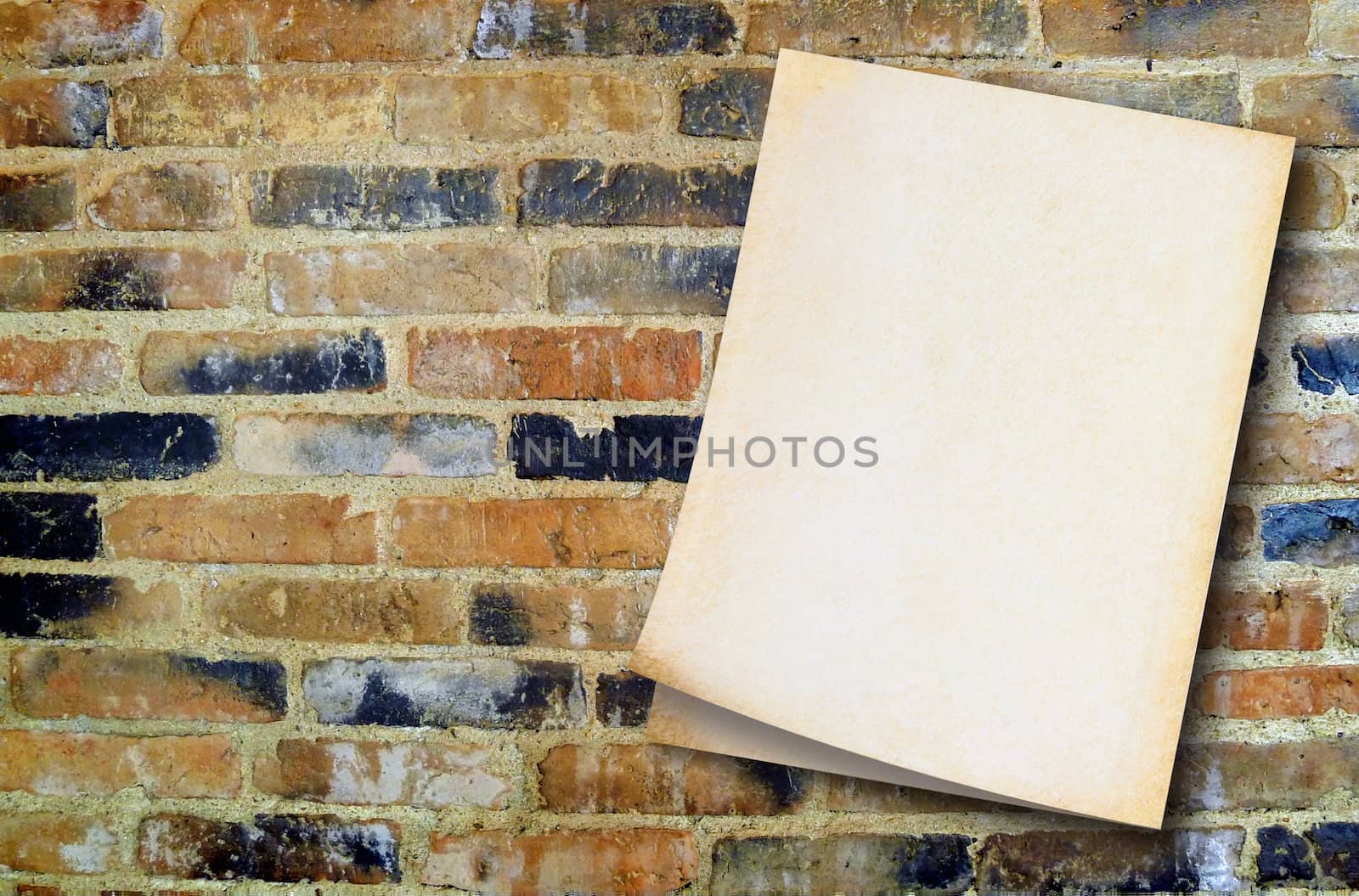 Old paper on vintage wall background by molly70photo